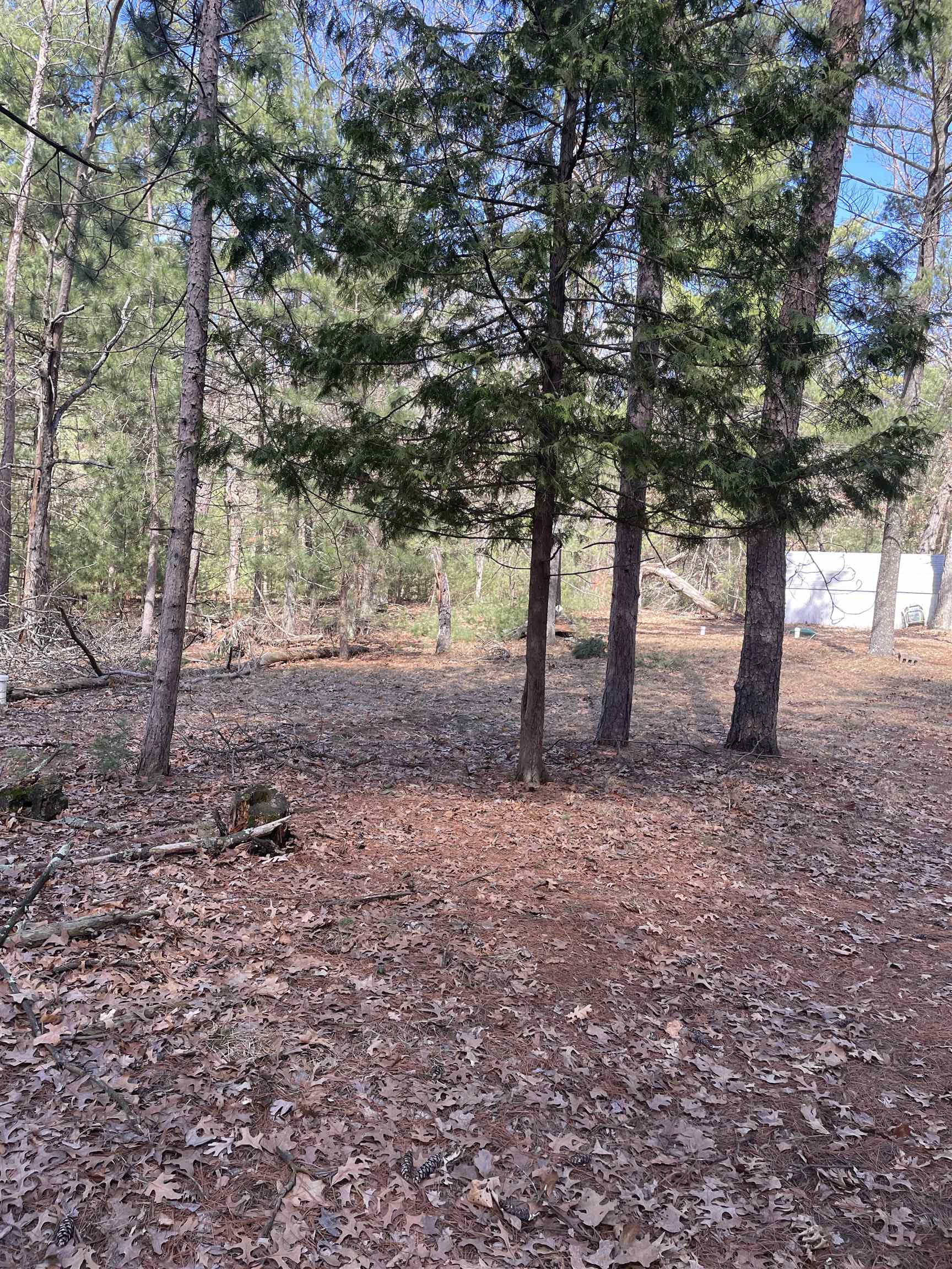 1924 DEERPATH ROAD, Arkdale, Wisconsin 54613, ,Land,For Sale,1924 DEERPATH ROAD,22401769