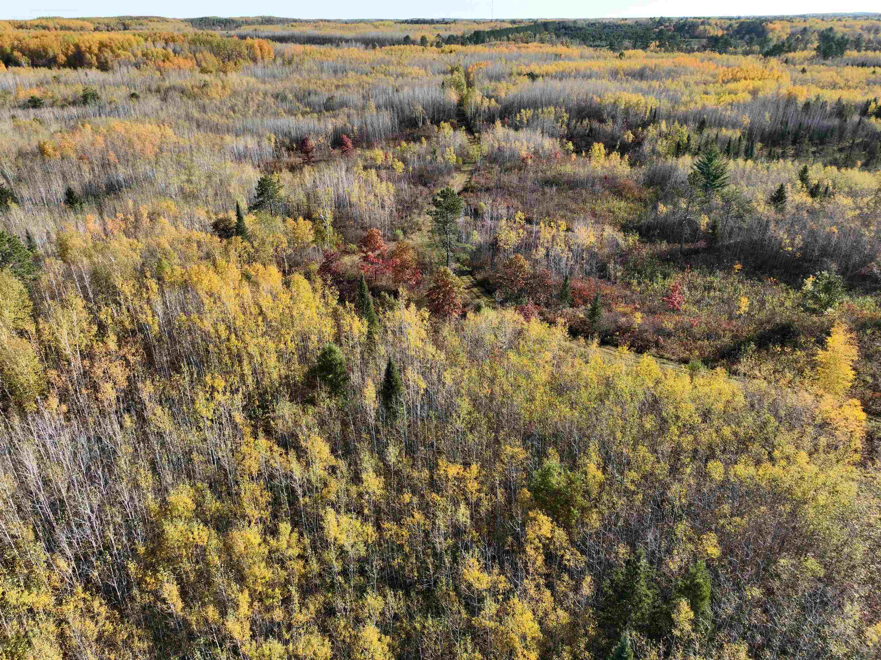 Near ROCKY RUN ROAD, Harshaw, Wisconsin 54529, ,Land,For Sale,Near ROCKY RUN ROAD,22401917