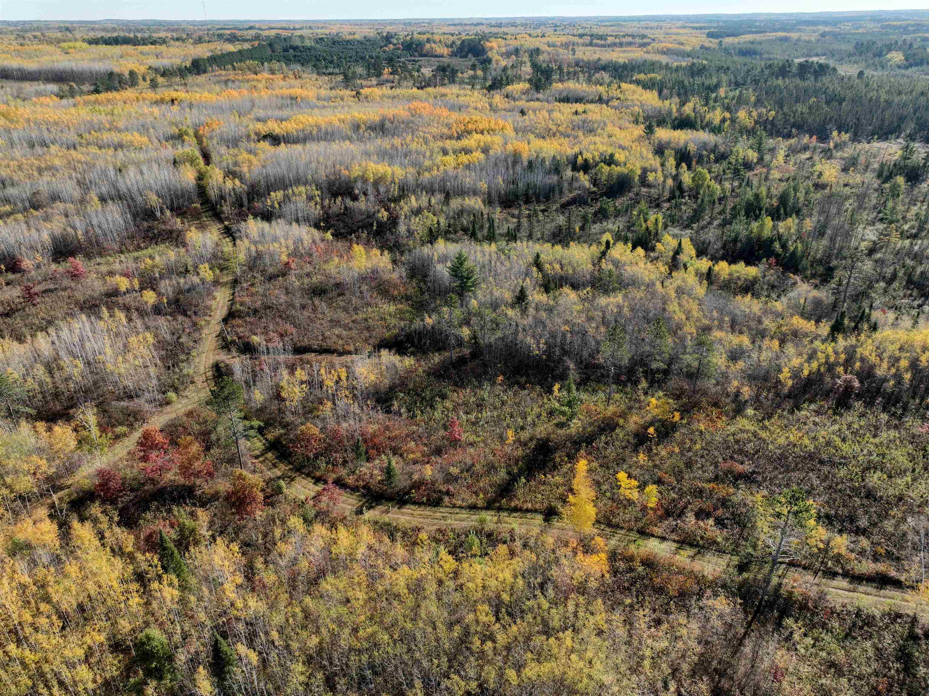 Near ROCKY RUN ROAD, Harshaw, Wisconsin 54529, ,Land,For Sale,Near ROCKY RUN ROAD,22401917