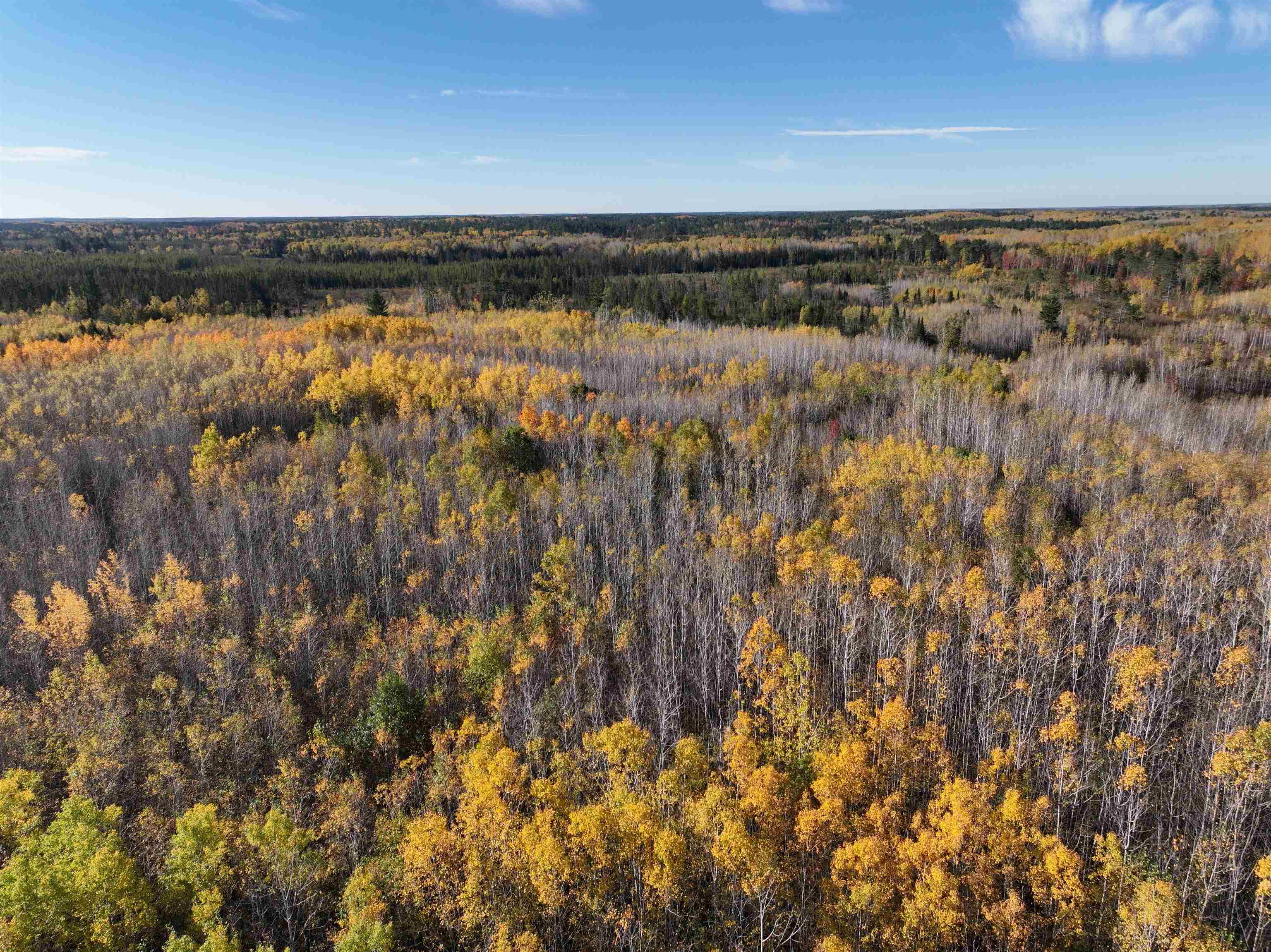 Near ROCKY RUN ROAD, Harshaw, Wisconsin 54529, ,Land,For Sale,Near ROCKY RUN ROAD,22401917