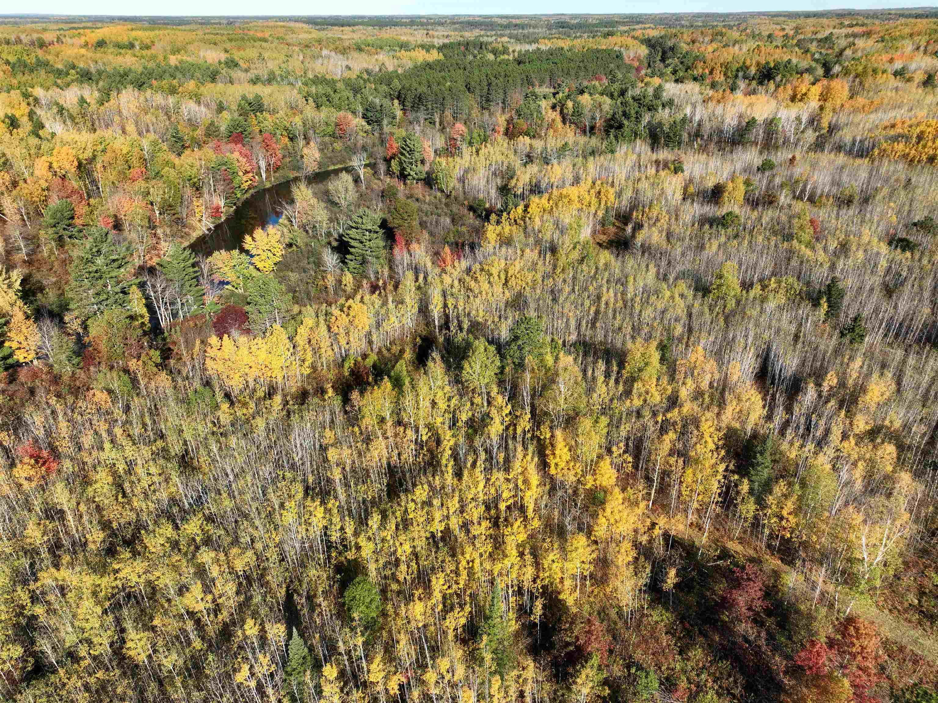 Near ROCKY RUN ROAD, Harshaw, Wisconsin 54529, ,Land,For Sale,Near ROCKY RUN ROAD,22401917