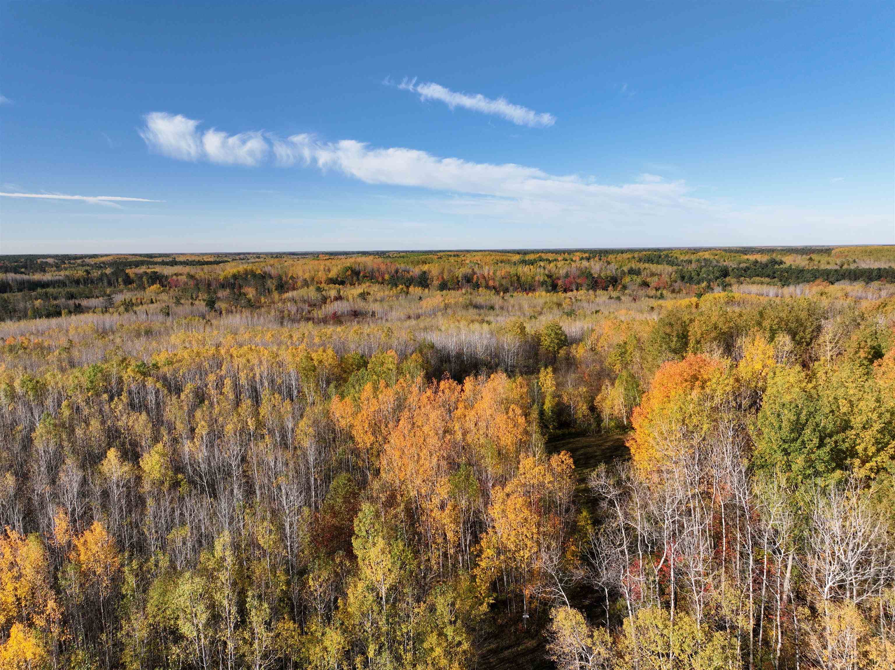 Near ROCKY RUN ROAD, Harshaw, Wisconsin 54529, ,Land,For Sale,Near ROCKY RUN ROAD,22401917