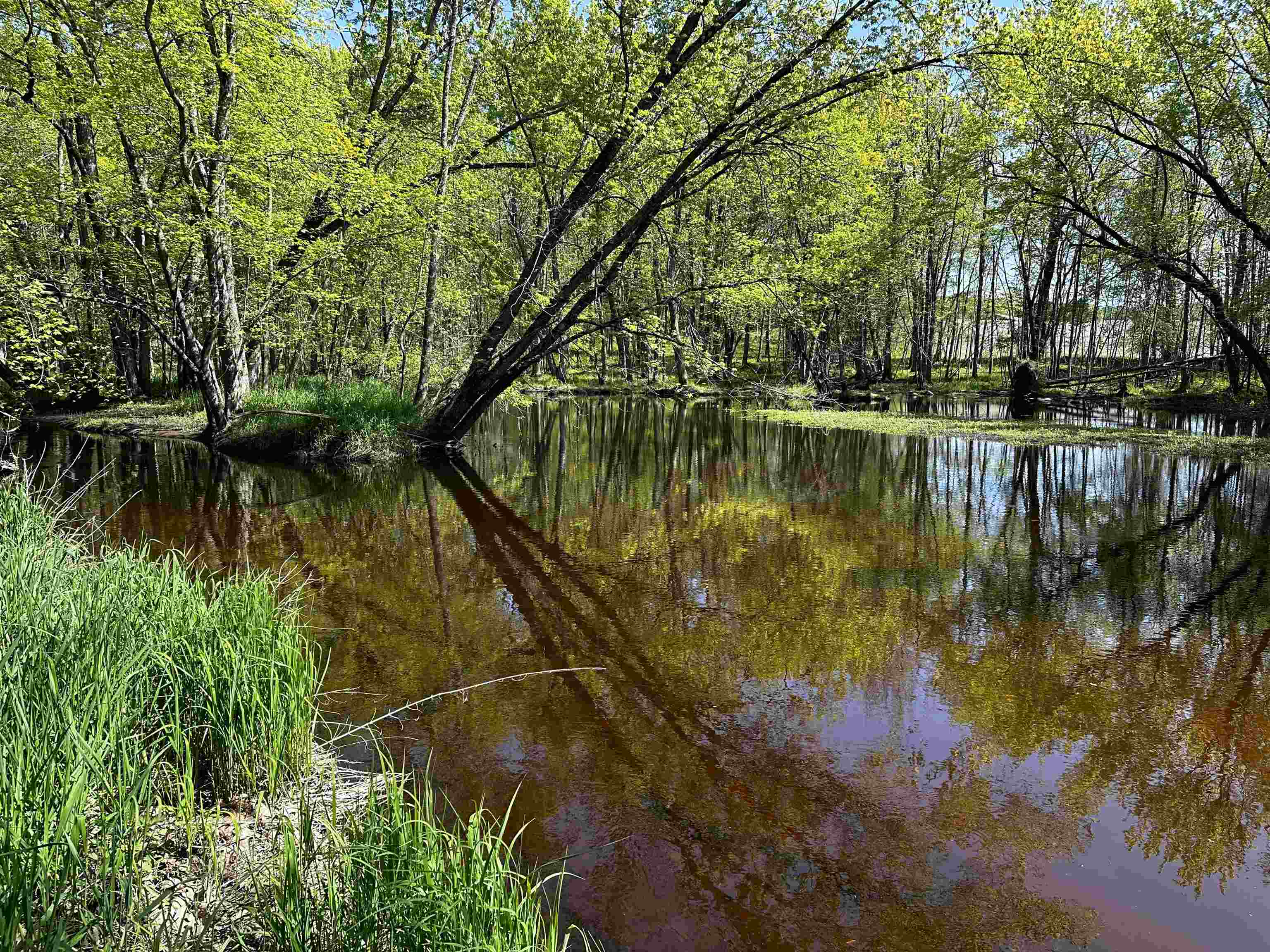 W13969 RIVER ROAD