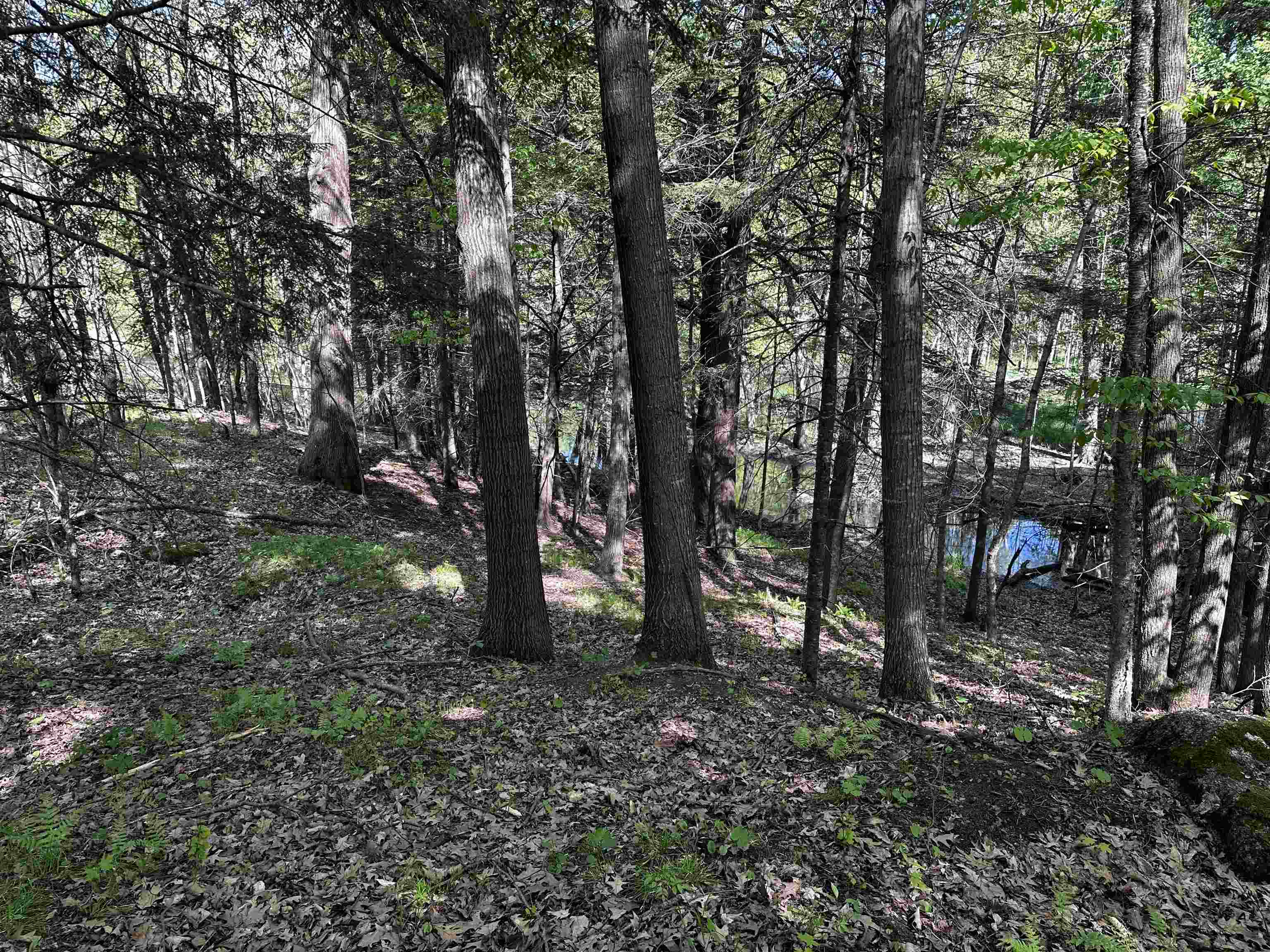 W13969 RIVER ROAD