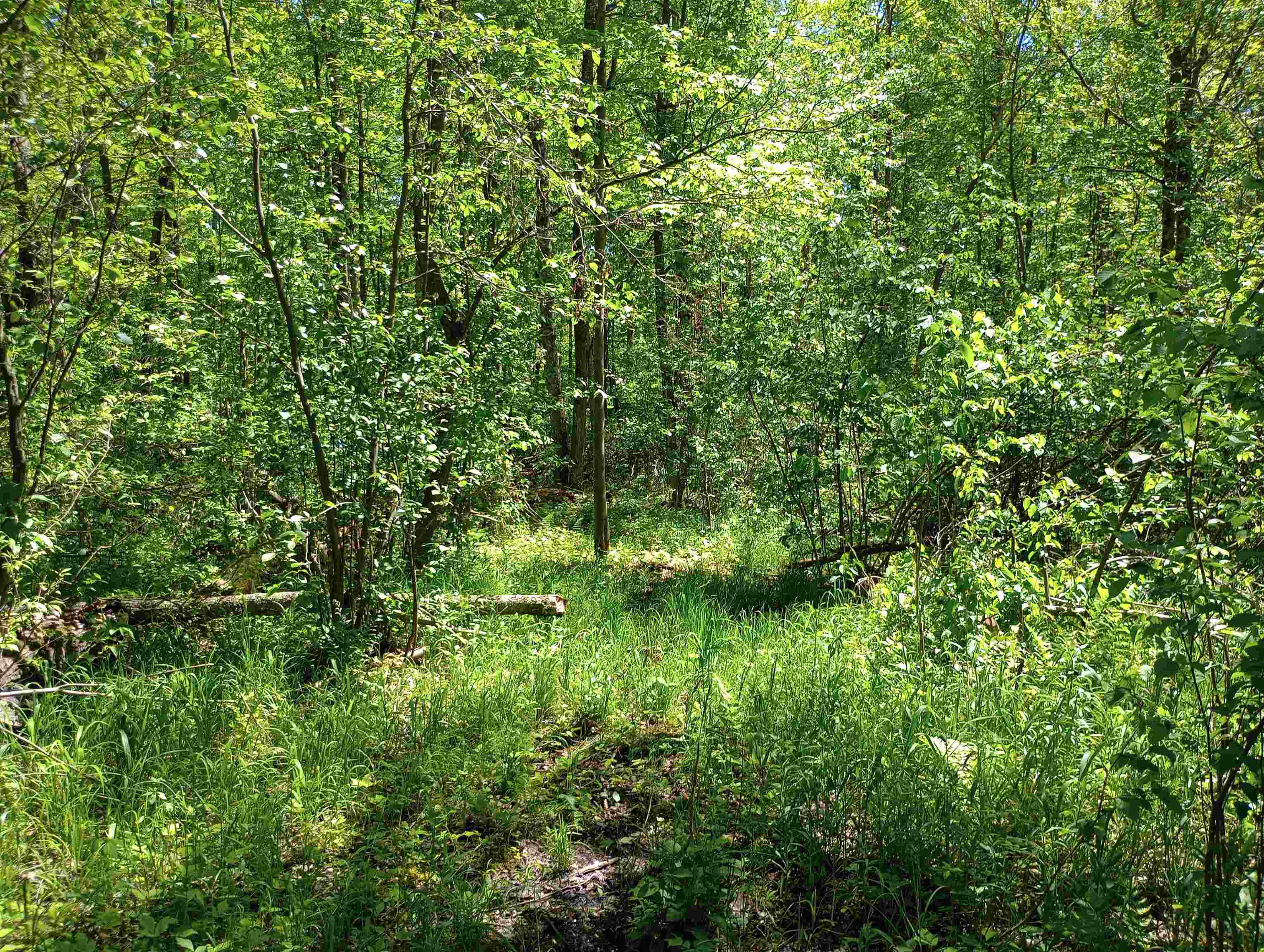 10 acres BRIDGE LANE, Glen Flora, Wisconsin 54526, ,Land,For Sale,10 acres BRIDGE LANE,22402145