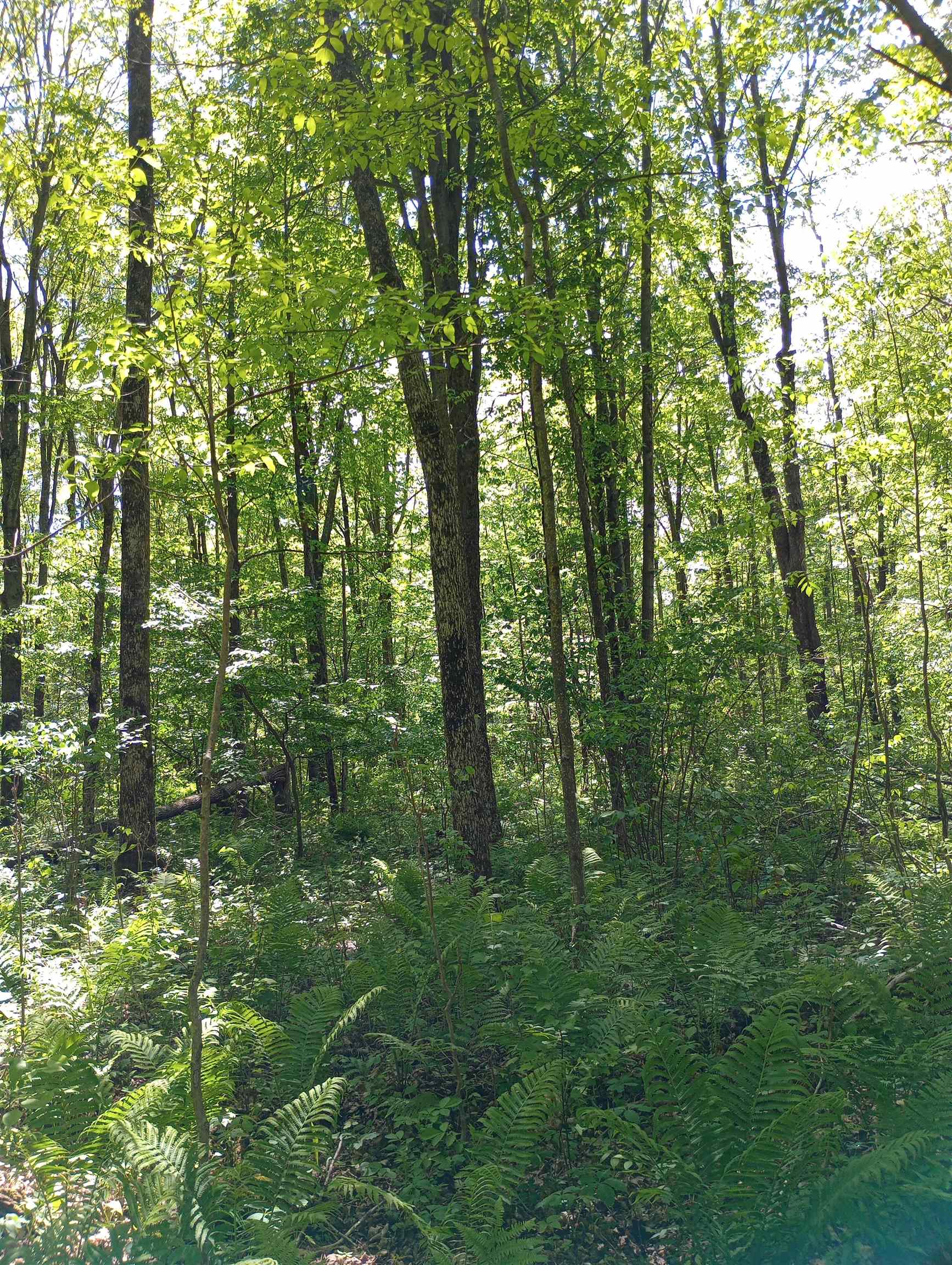 10 acres BRIDGE LANE, Glen Flora, Wisconsin 54526, ,Land,For Sale,10 acres BRIDGE LANE,22402145