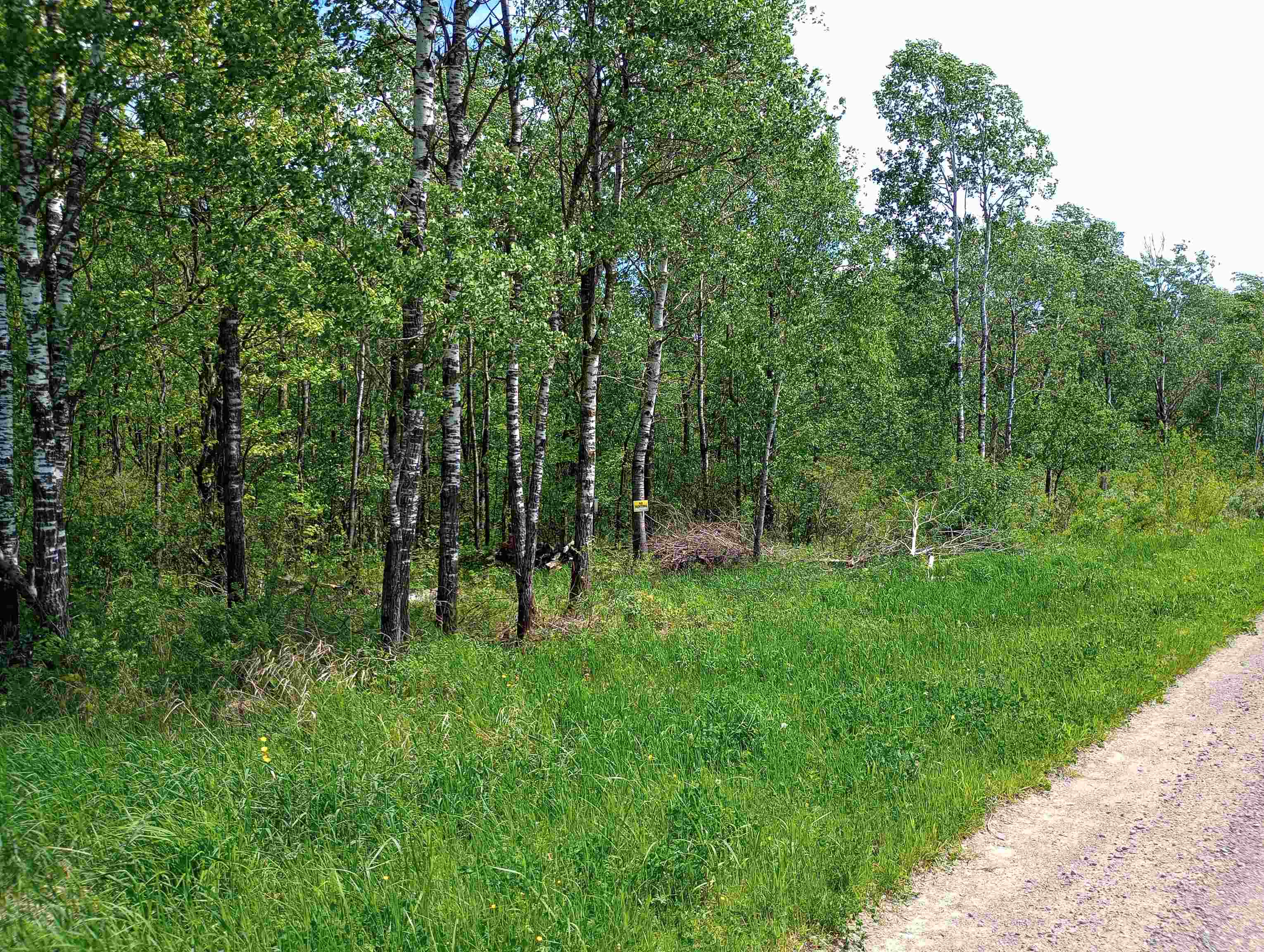 10 acres BRIDGE LANE, Glen Flora, Wisconsin 54526, ,Land,For Sale,10 acres BRIDGE LANE,22402145