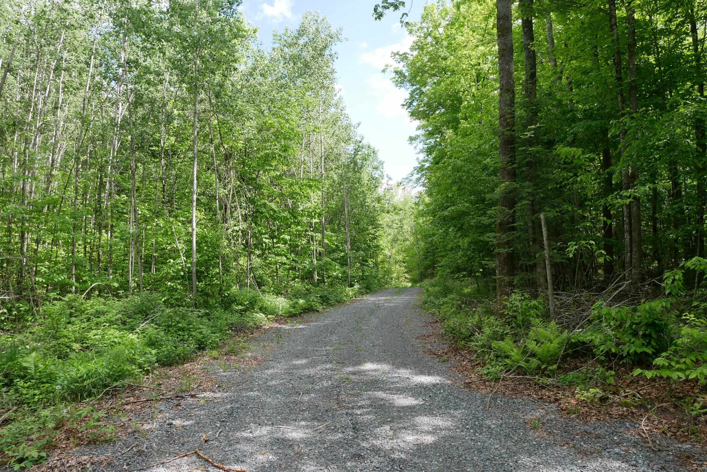 Lots and Land for sale in Withee, Wisconsin, 22402201