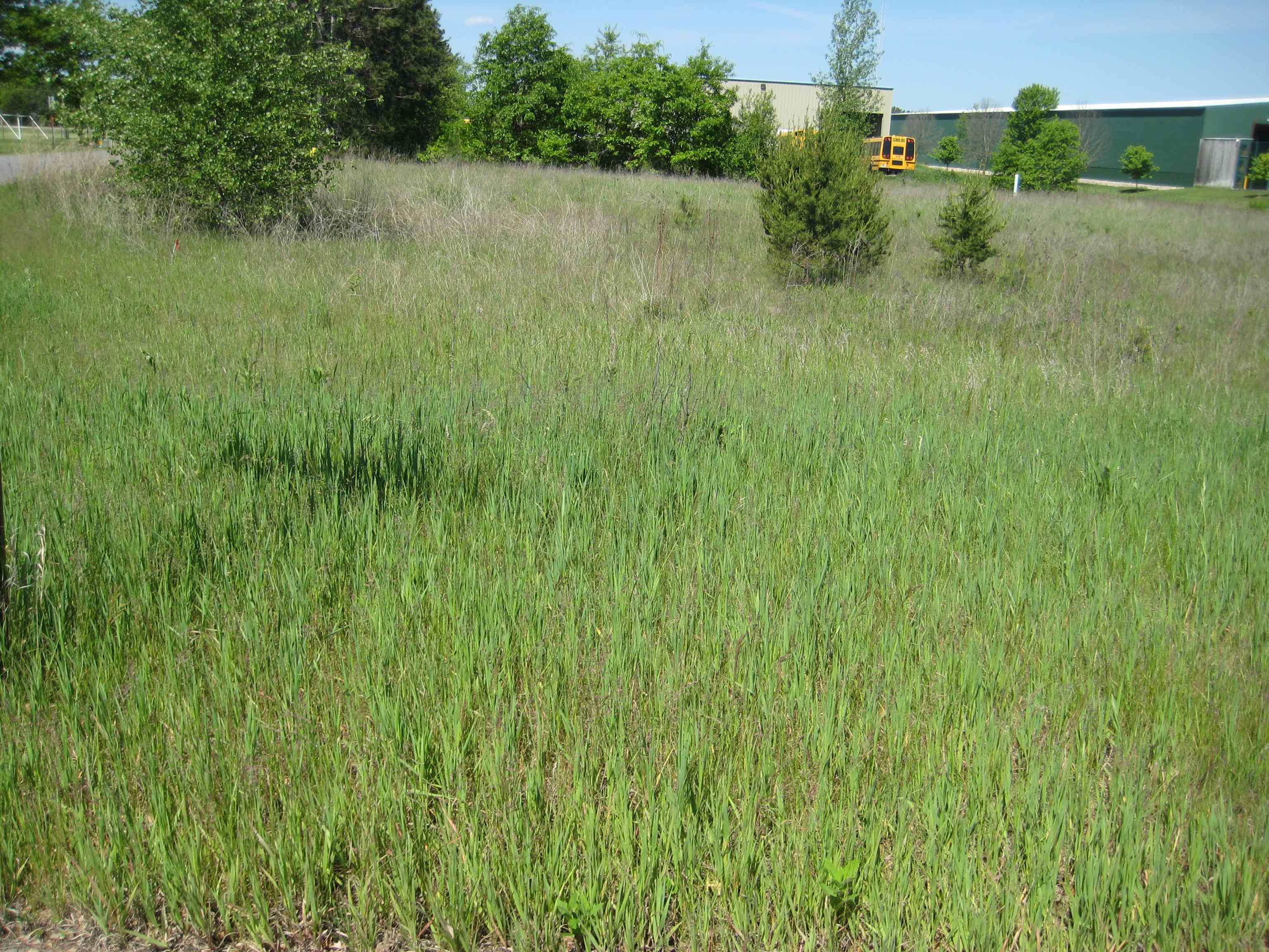 0 MAPLE DRIVE, Plover, Wisconsin 54467, ,Land,For Sale,0 MAPLE DRIVE,22402570