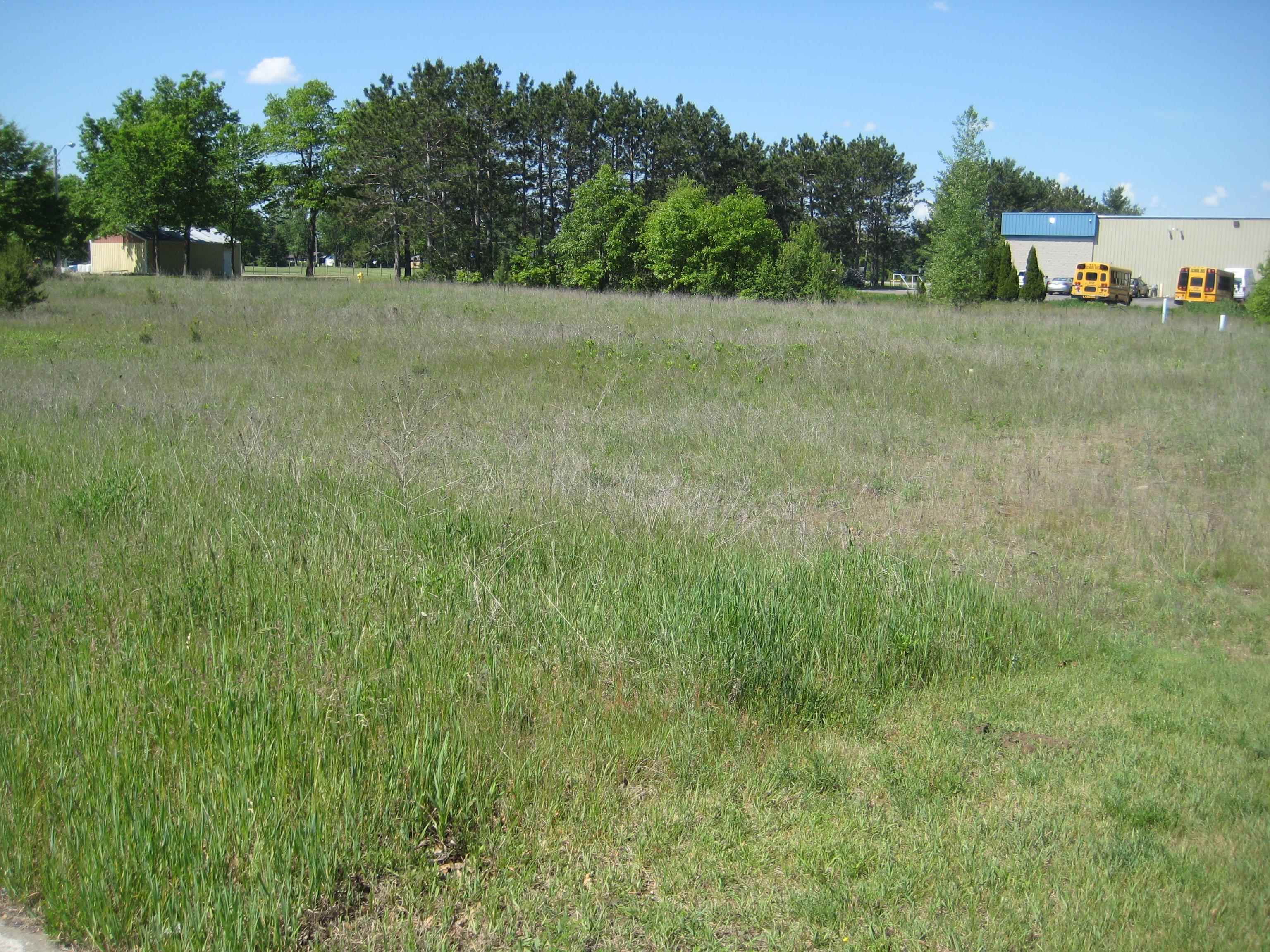 0 MAPLE DRIVE, Plover, Wisconsin 54467, ,Land,For Sale,0 MAPLE DRIVE,22402570