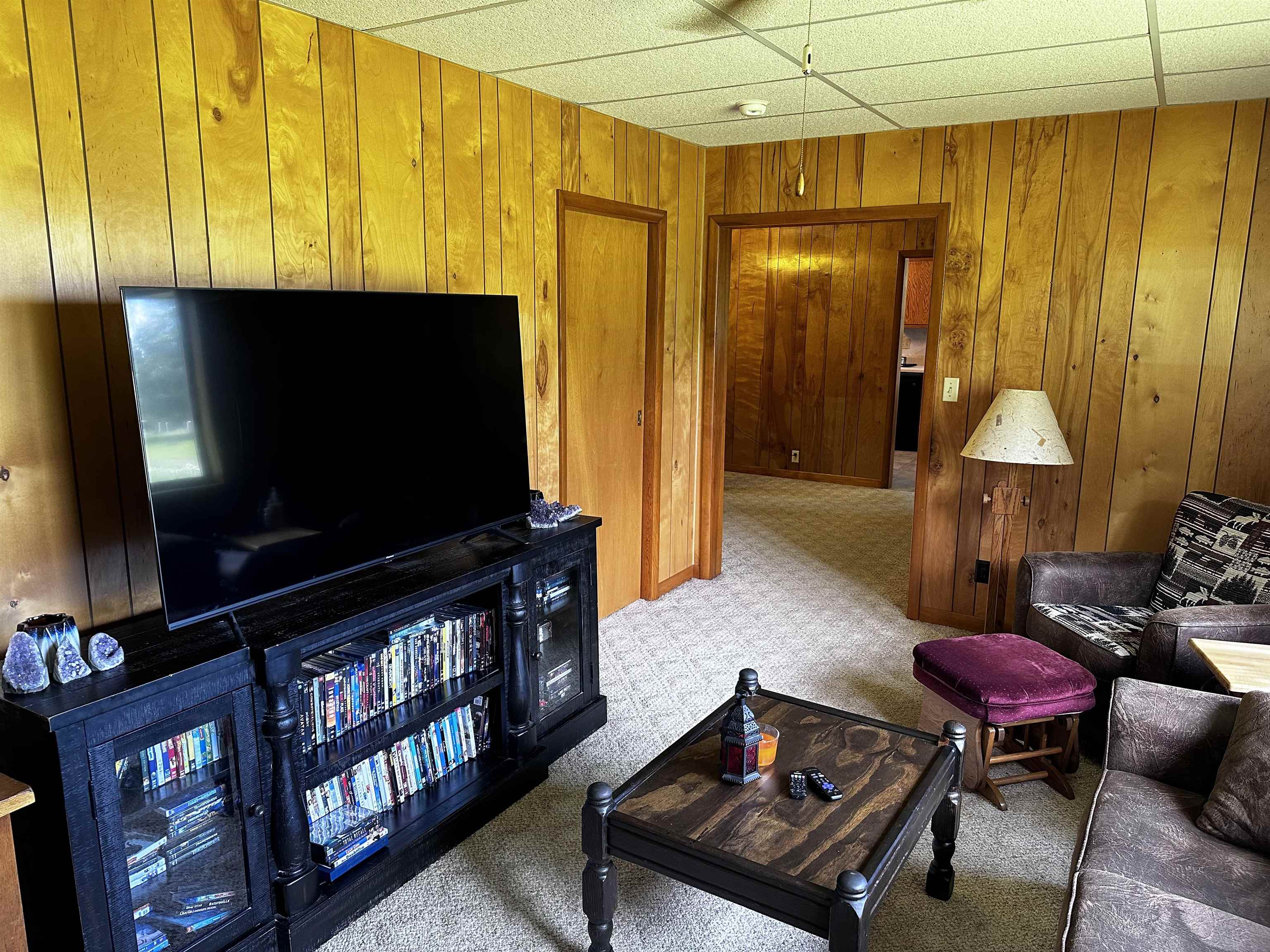 233 W LAYMAN DRIVE