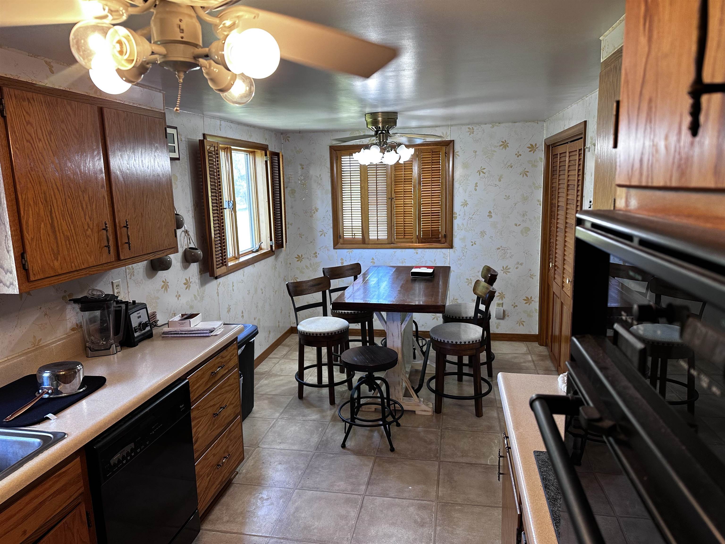 233 W LAYMAN DRIVE