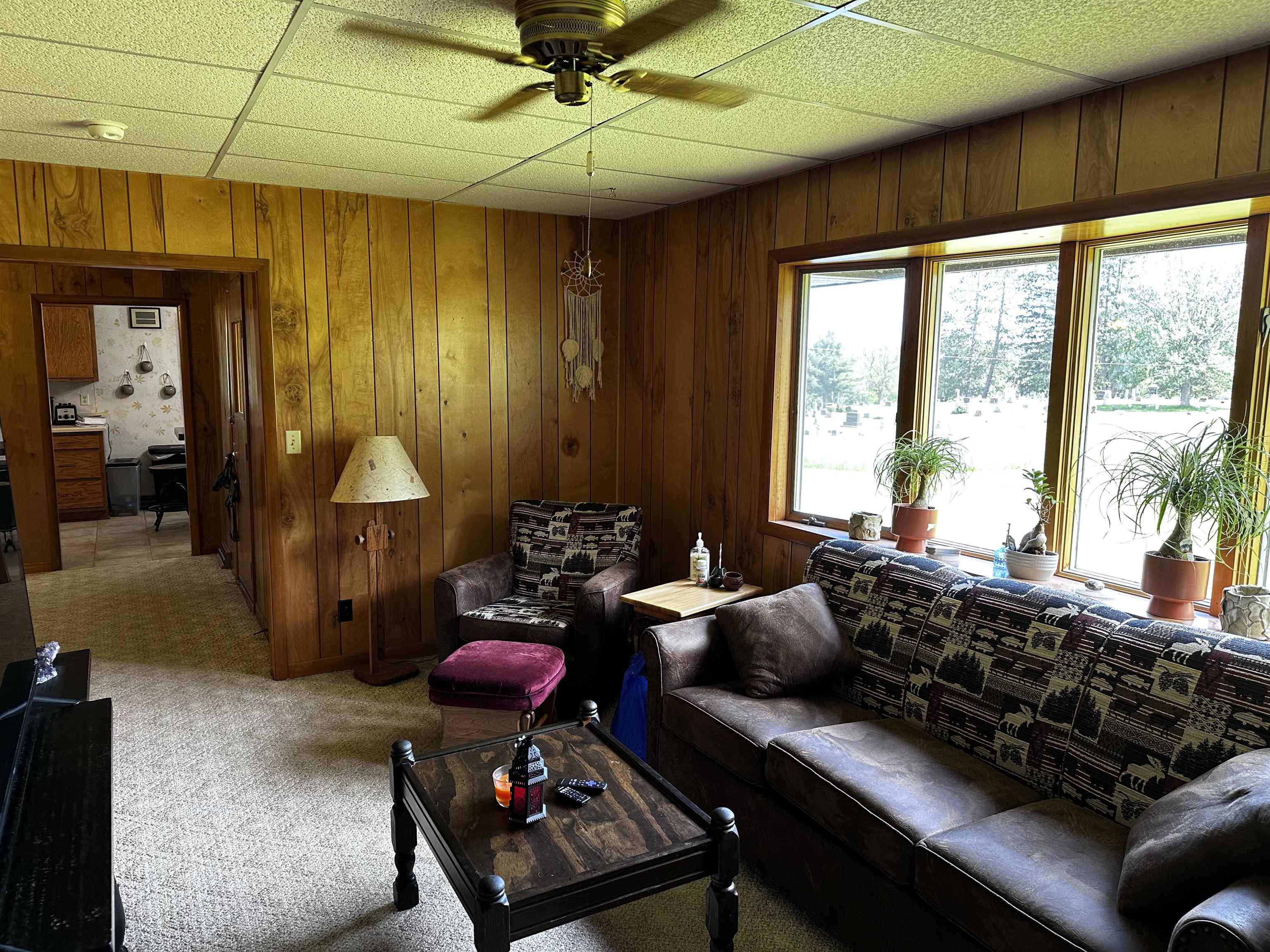 233 W LAYMAN DRIVE