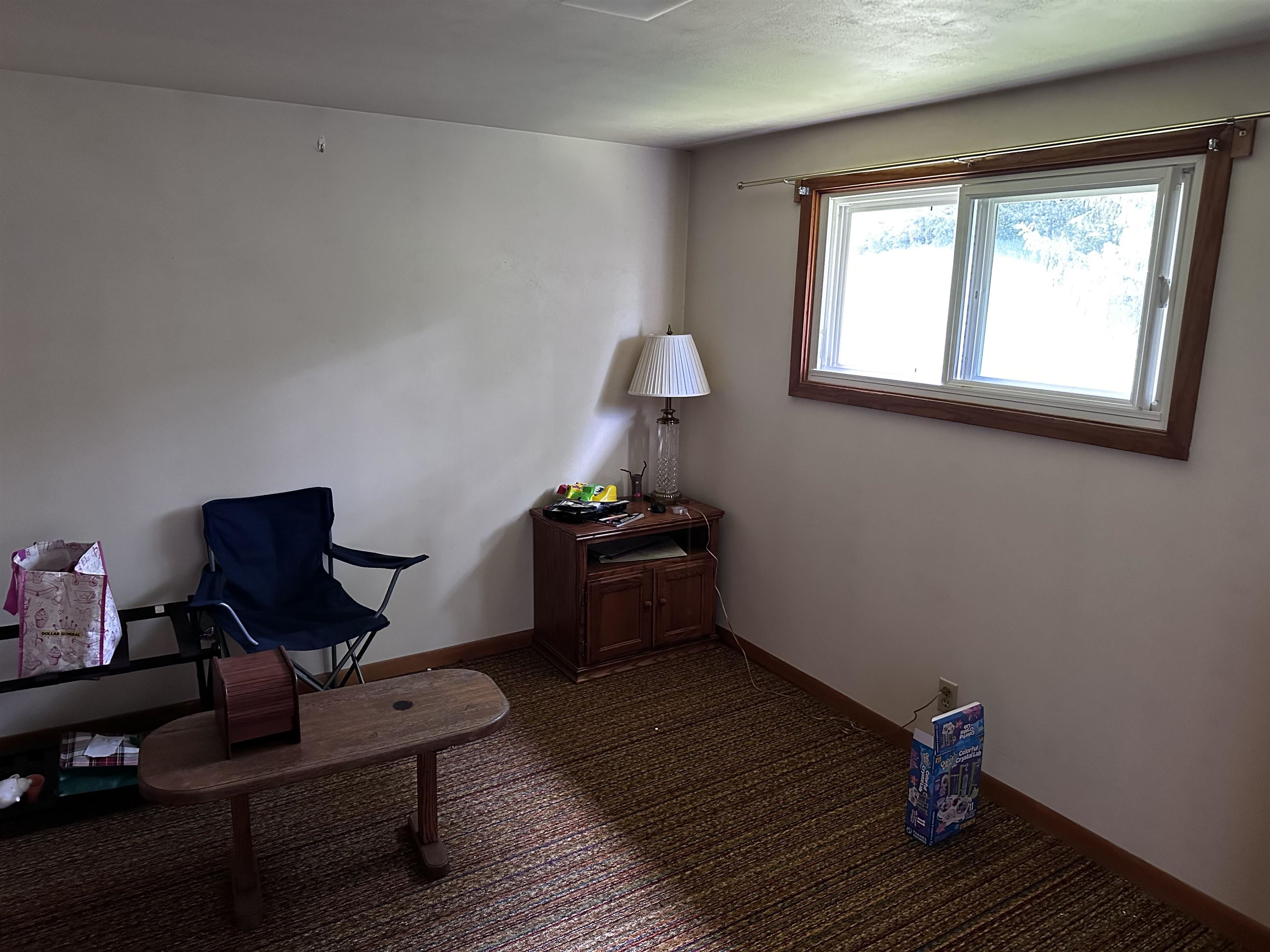 233 W LAYMAN DRIVE