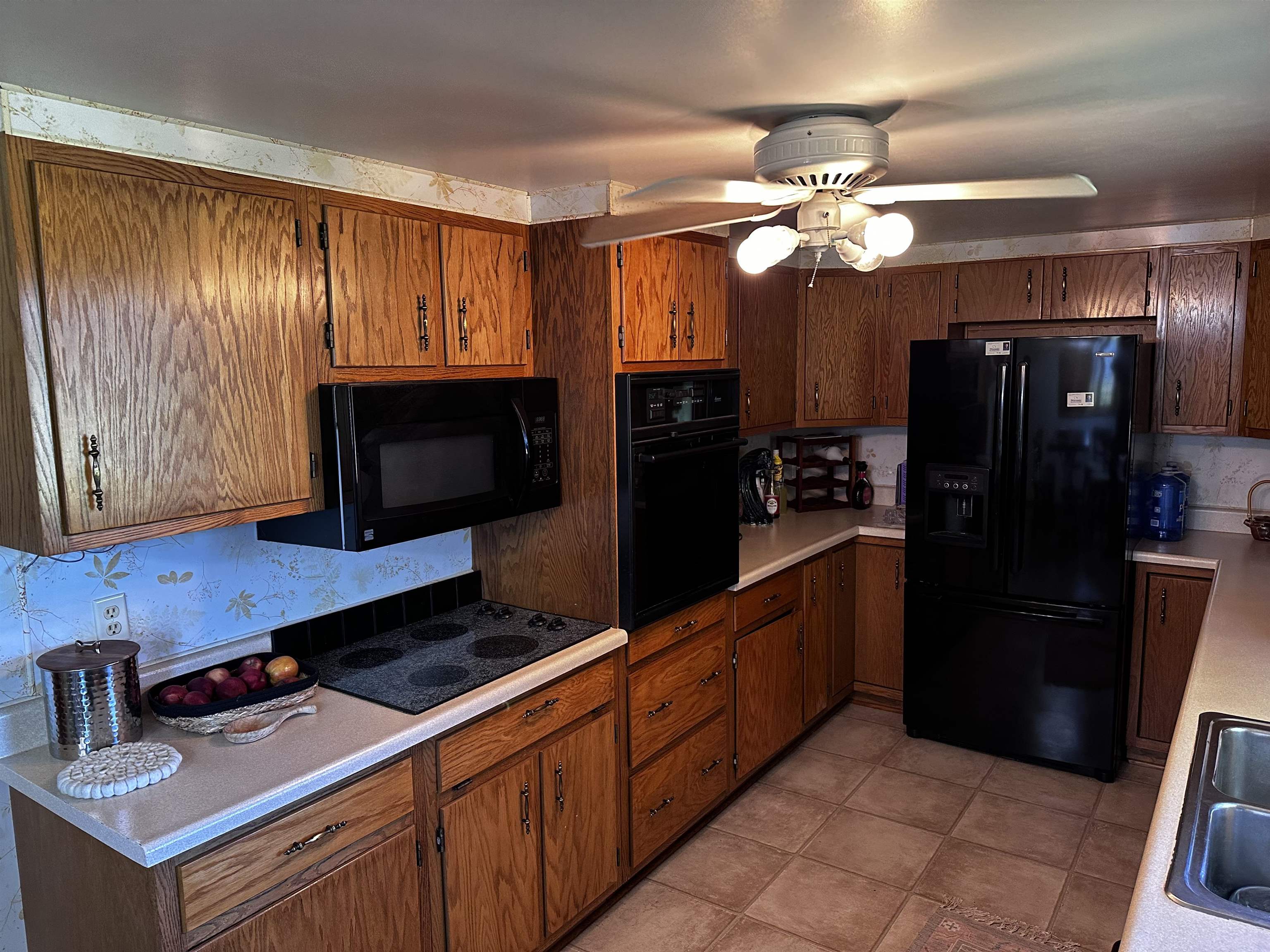 233 W LAYMAN DRIVE