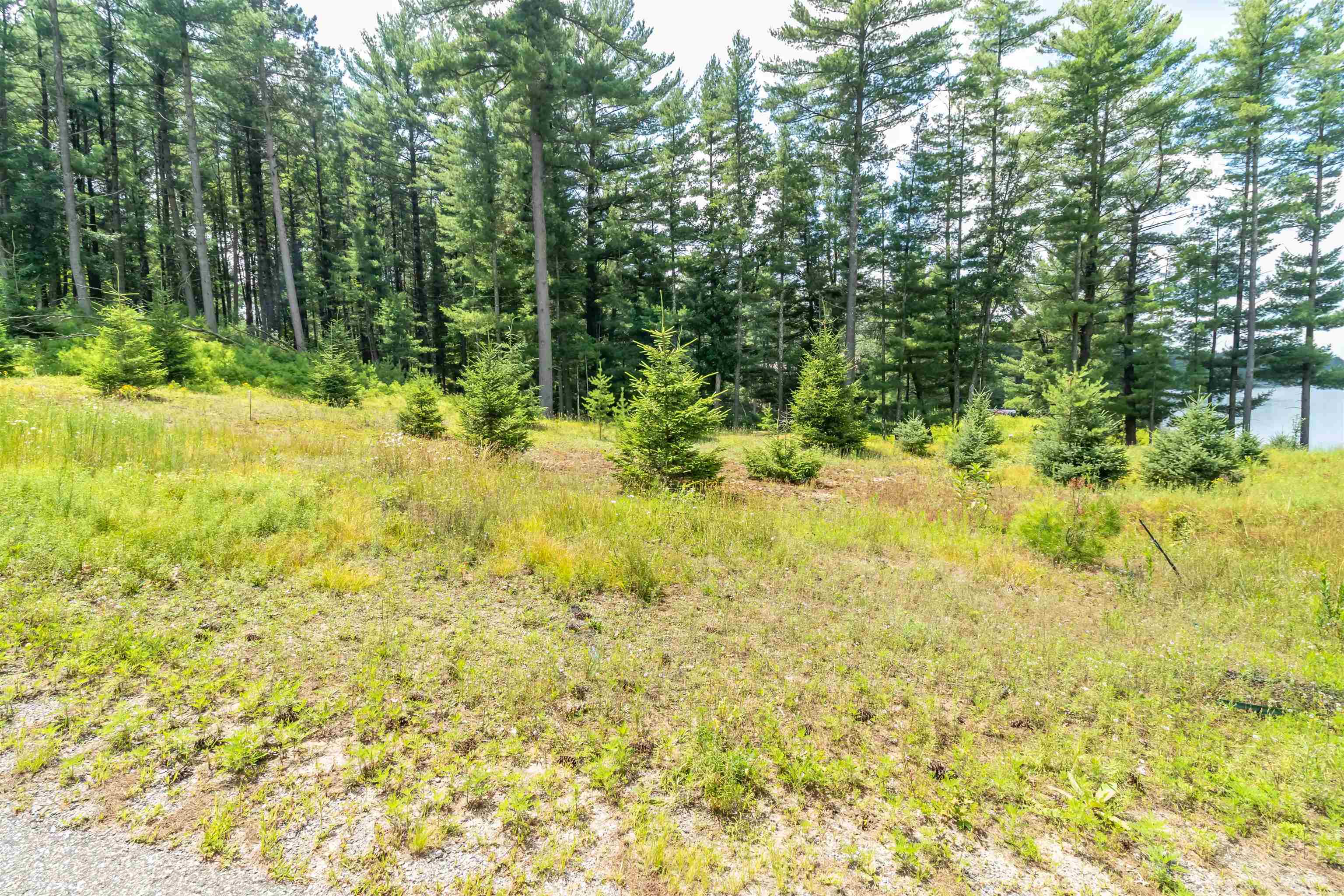 Lot 1 SOUTH BLUFF TRAIL, Wisconsin Rapids, Wisconsin 54494, ,Land,For Sale,Lot 1 SOUTH BLUFF TRAIL,22402650