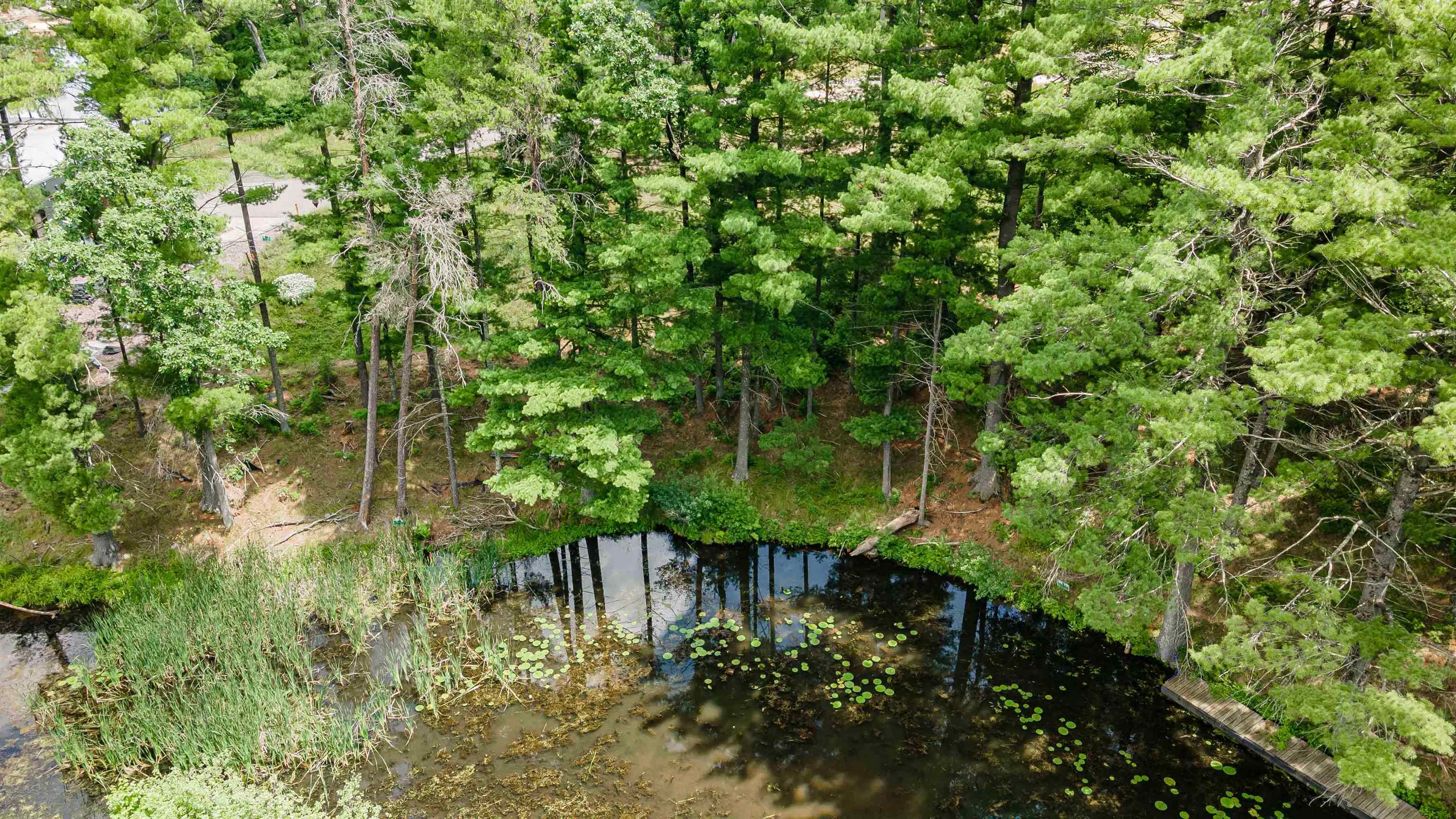Lot 1 SOUTH BLUFF TRAIL, Wisconsin Rapids, Wisconsin 54494, ,Land,For Sale,Lot 1 SOUTH BLUFF TRAIL,22402650