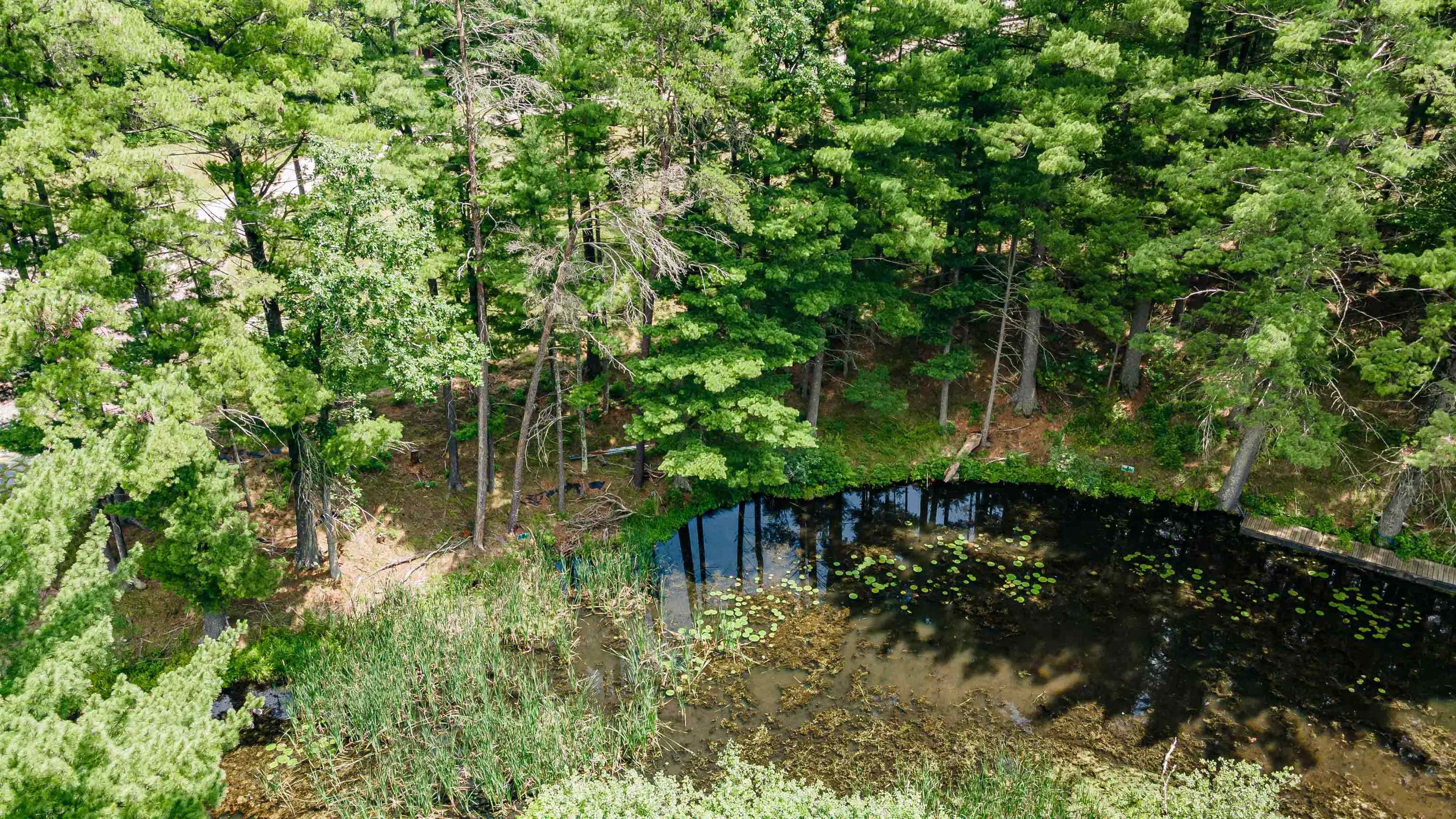 Lot 1 SOUTH BLUFF TRAIL, Wisconsin Rapids, Wisconsin 54494, ,Land,For Sale,Lot 1 SOUTH BLUFF TRAIL,22402650