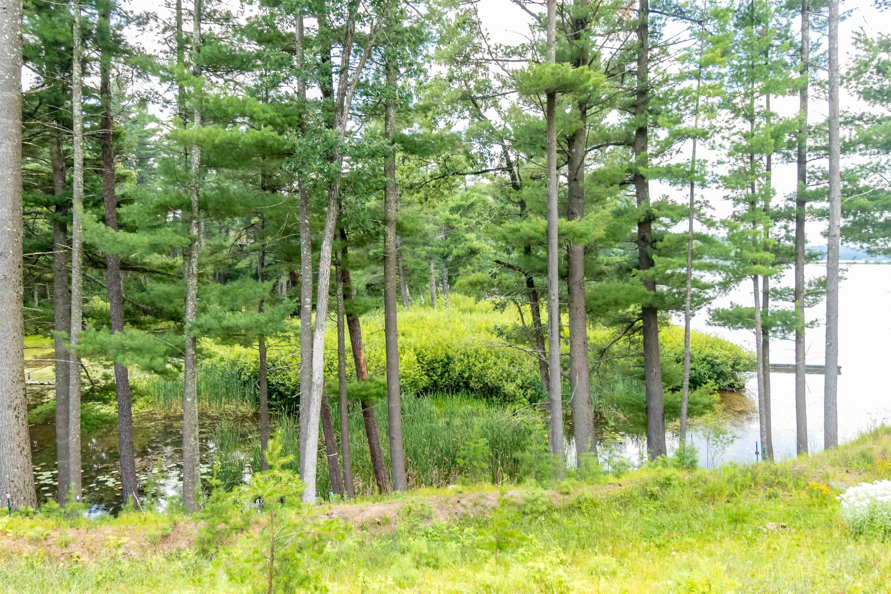 Lot 1 SOUTH BLUFF TRAIL, Wisconsin Rapids, Wisconsin 54494, ,Land,For Sale,Lot 1 SOUTH BLUFF TRAIL,22402650
