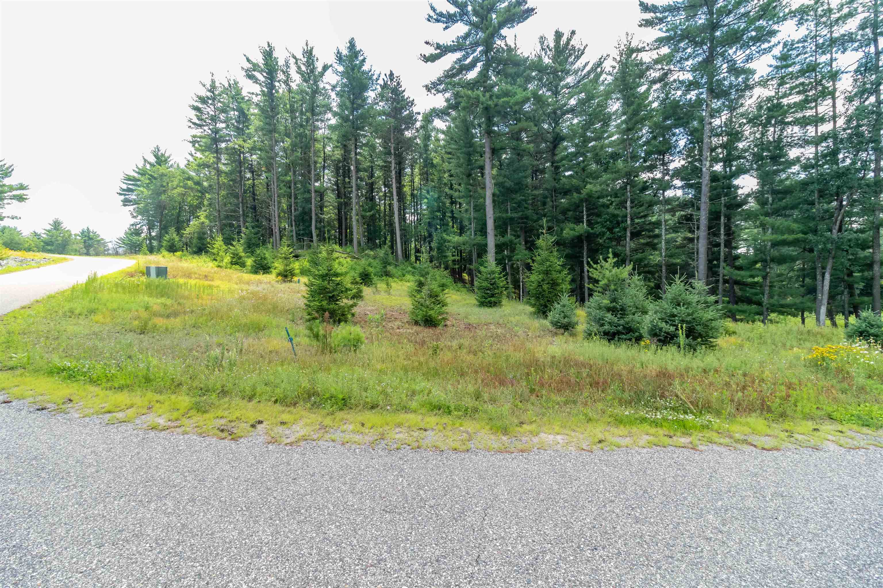 Lot 1 SOUTH BLUFF TRAIL, Wisconsin Rapids, Wisconsin 54494, ,Land,For Sale,Lot 1 SOUTH BLUFF TRAIL,22402650