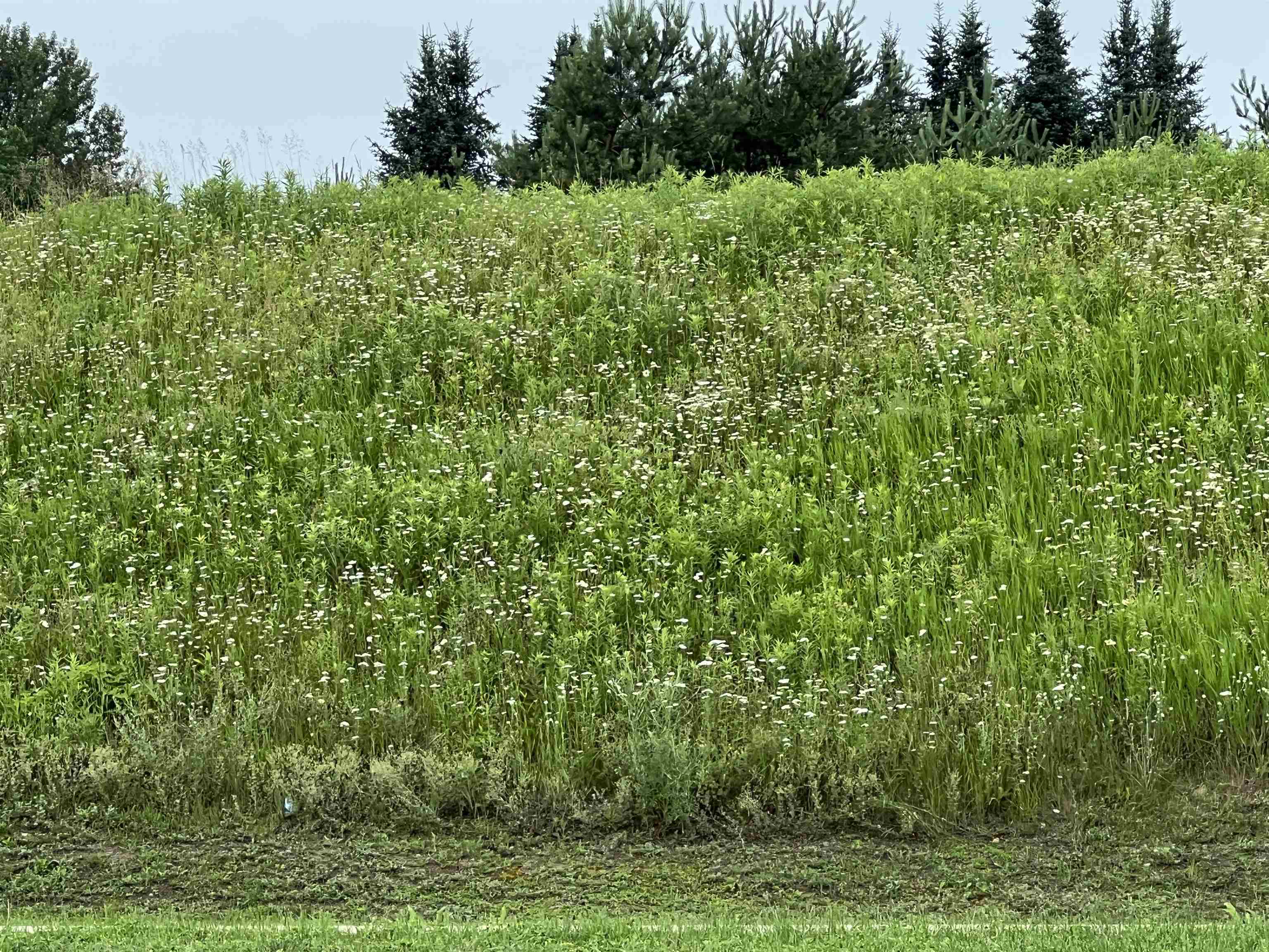 Lot 10 STATE HIGHWAY 45, Wittenberg, Wisconsin 54499, ,Land,For Sale,Lot 10 STATE HIGHWAY 45,22402717