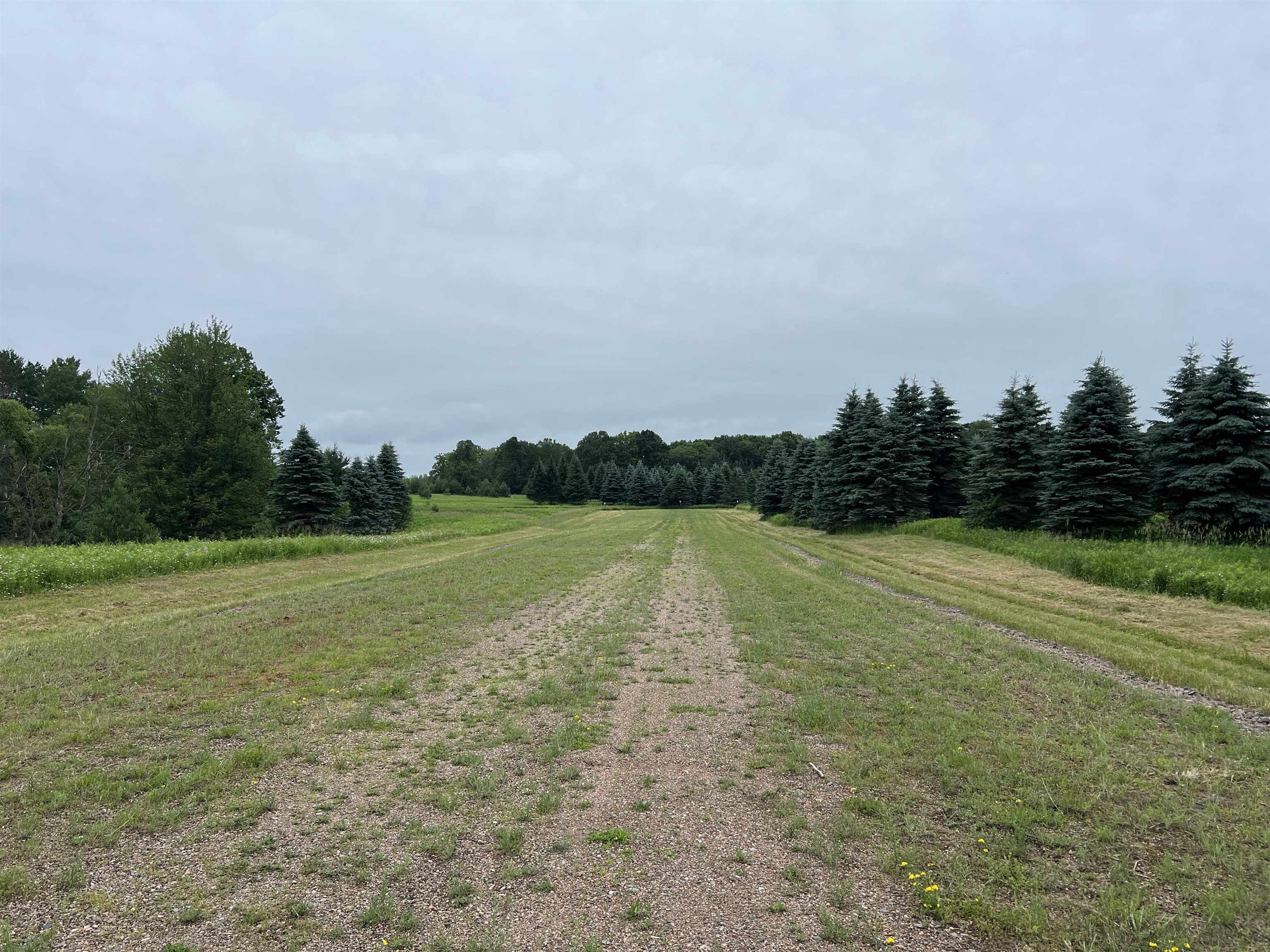 Lot 10 STATE HIGHWAY 45, Wittenberg, Wisconsin 54499, ,Land,For Sale,Lot 10 STATE HIGHWAY 45,22402717