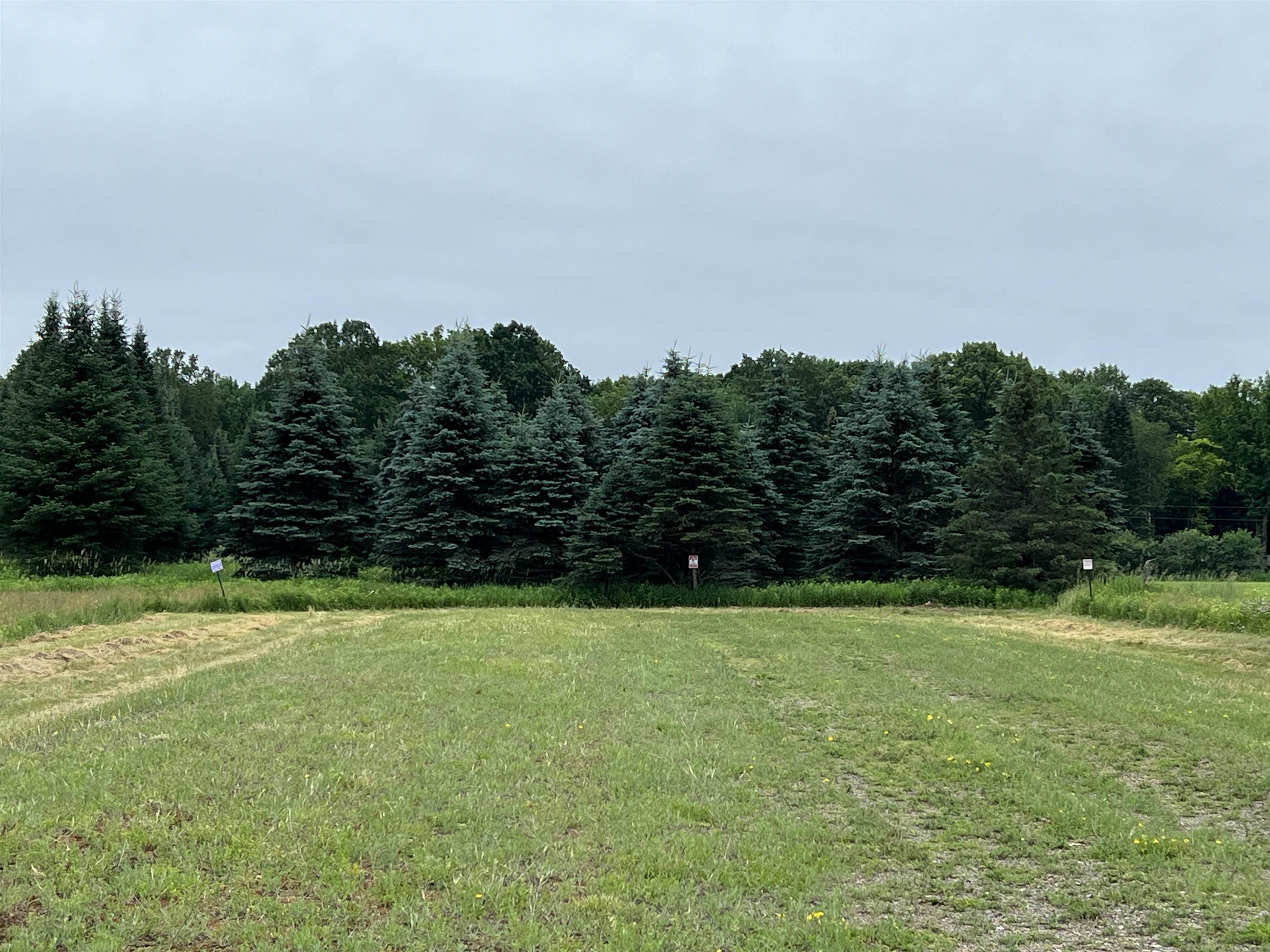 Lot 10 STATE HIGHWAY 45, Wittenberg, Wisconsin 54499, ,Land,For Sale,Lot 10 STATE HIGHWAY 45,22402717
