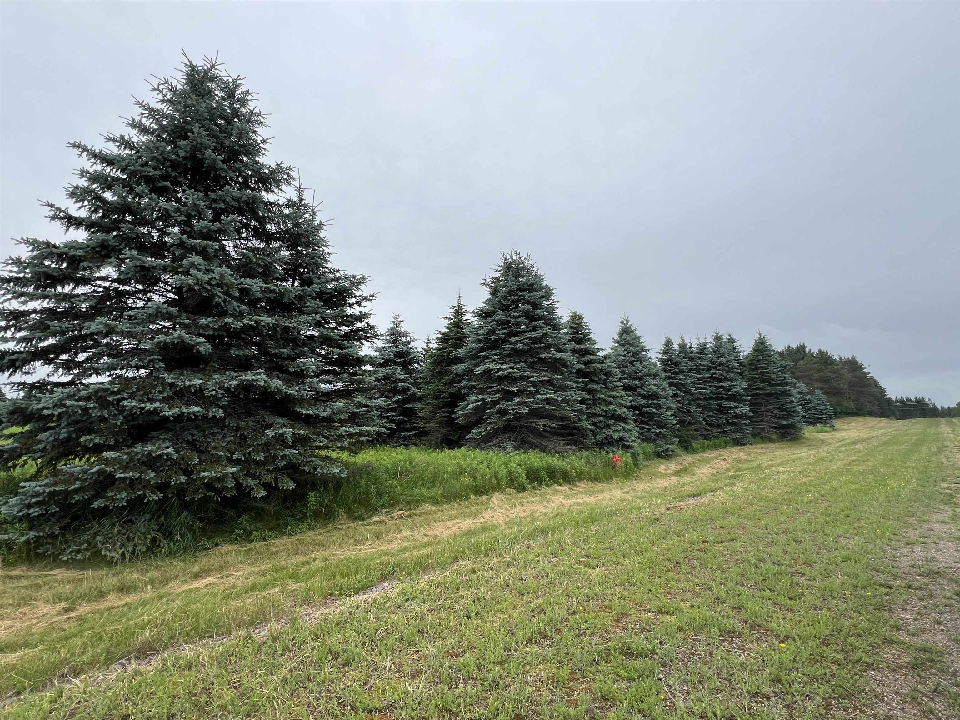 Lot 10 STATE HIGHWAY 45, Wittenberg, Wisconsin 54499, ,Land,For Sale,Lot 10 STATE HIGHWAY 45,22402717