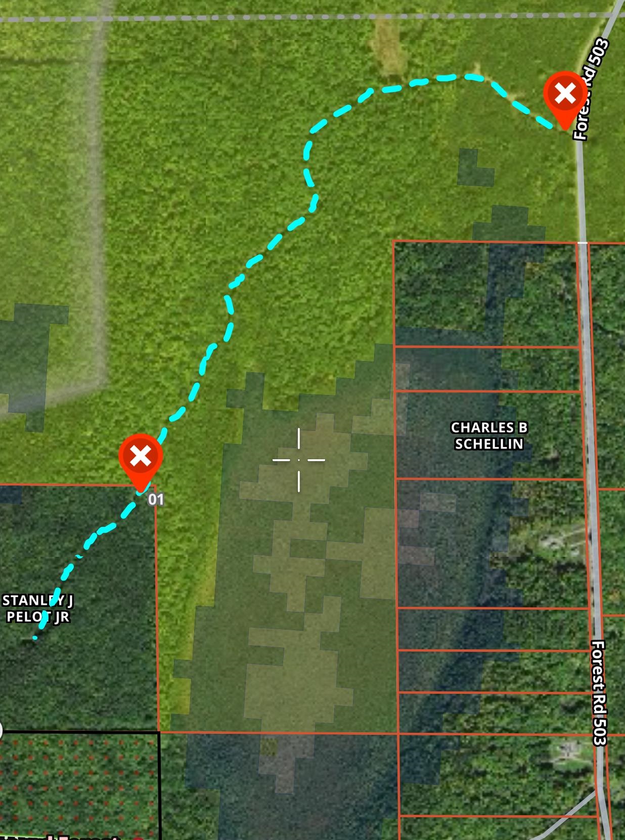 FOREST ROAD 503, Phillips, Wisconsin 54555, ,Land,For Sale,FOREST ROAD 503,22402826