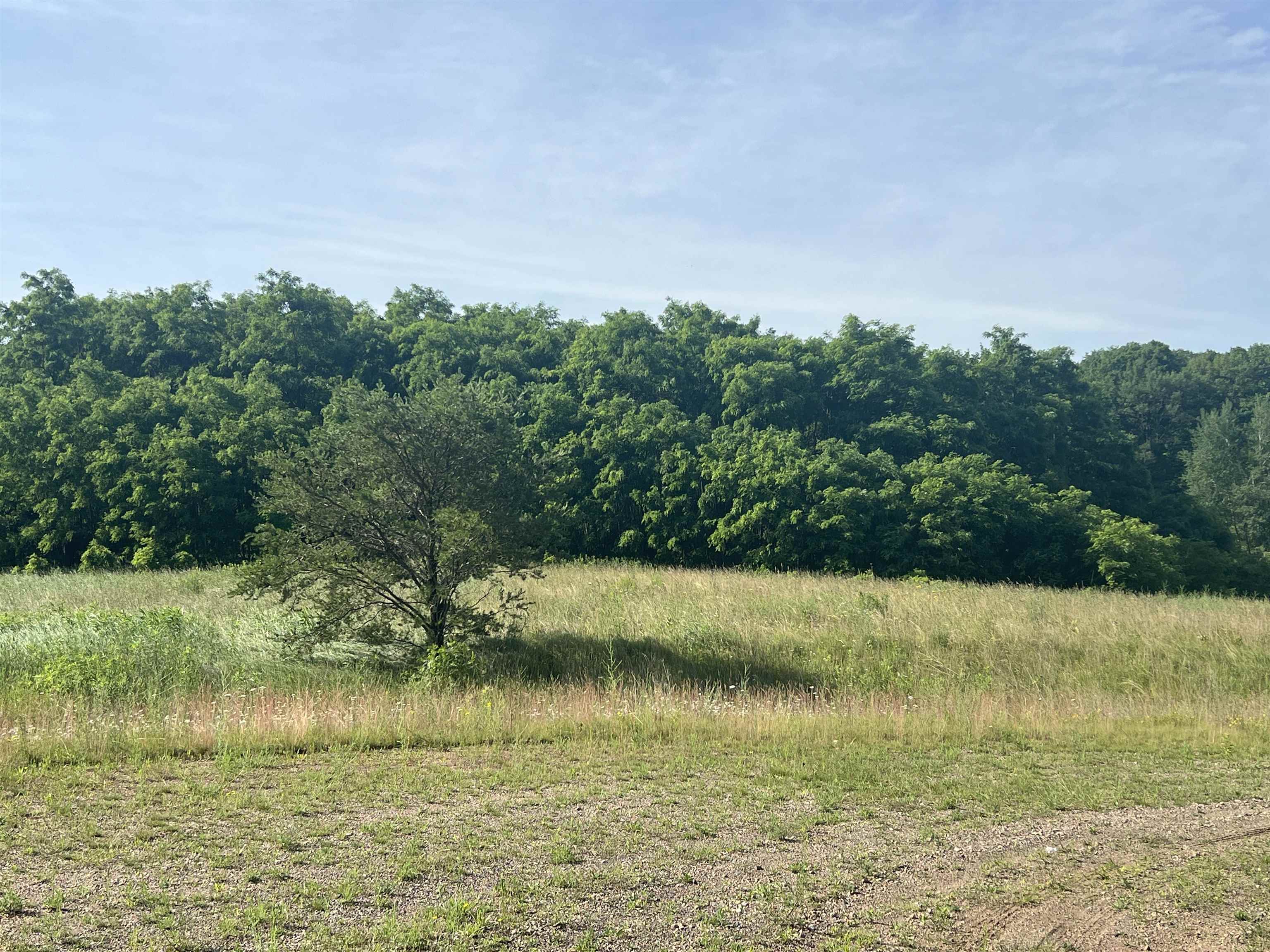 Lot 2 FREEDOM WAY, Wittenberg, Wisconsin 54499, ,Land,For Sale,Lot 2 FREEDOM WAY,22402922