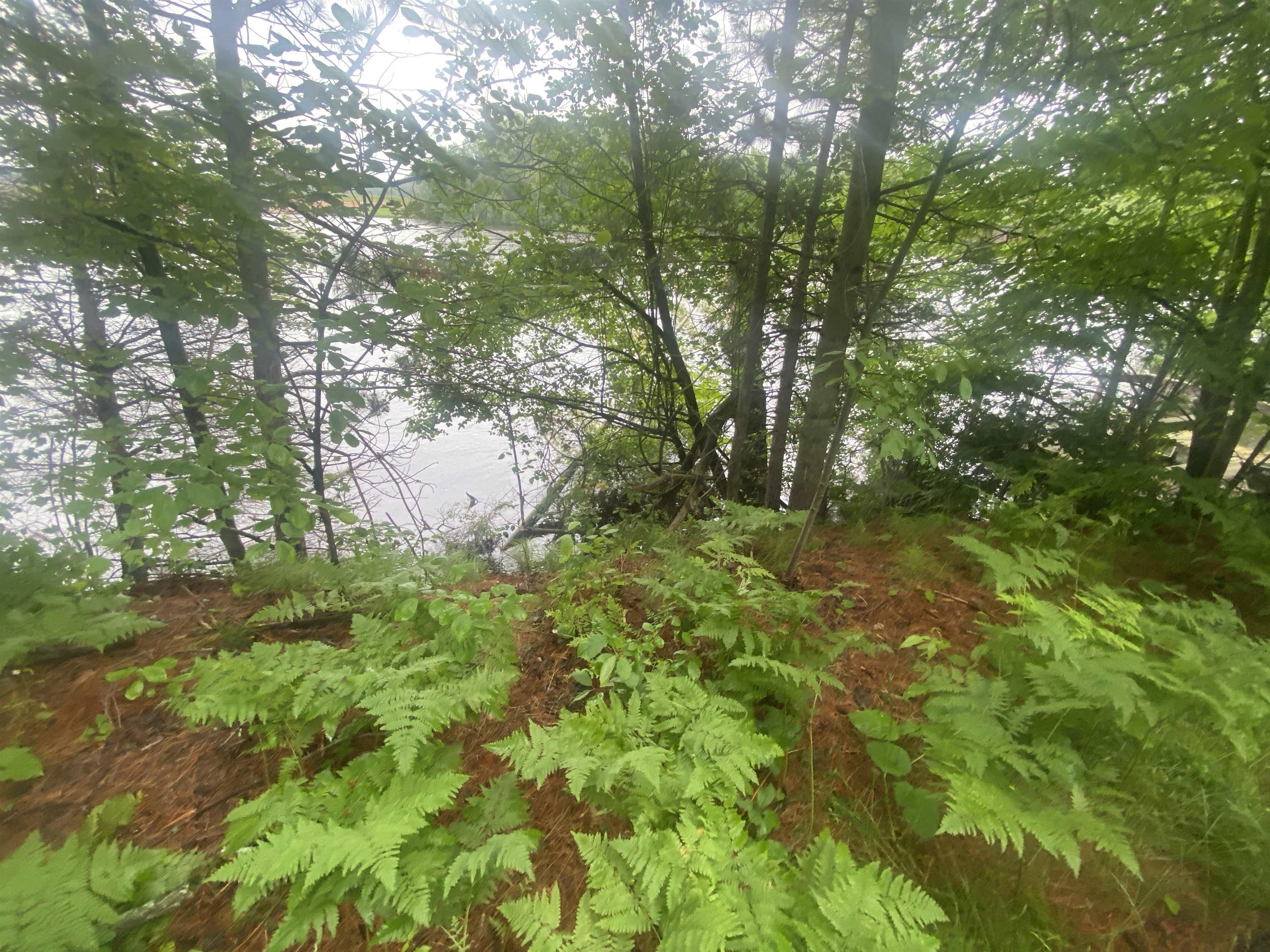 11664 N LAKE NOKOMIS ROAD, Tomahawk, Wisconsin 54487, ,Land,For Sale,11664 N LAKE NOKOMIS ROAD,22402949