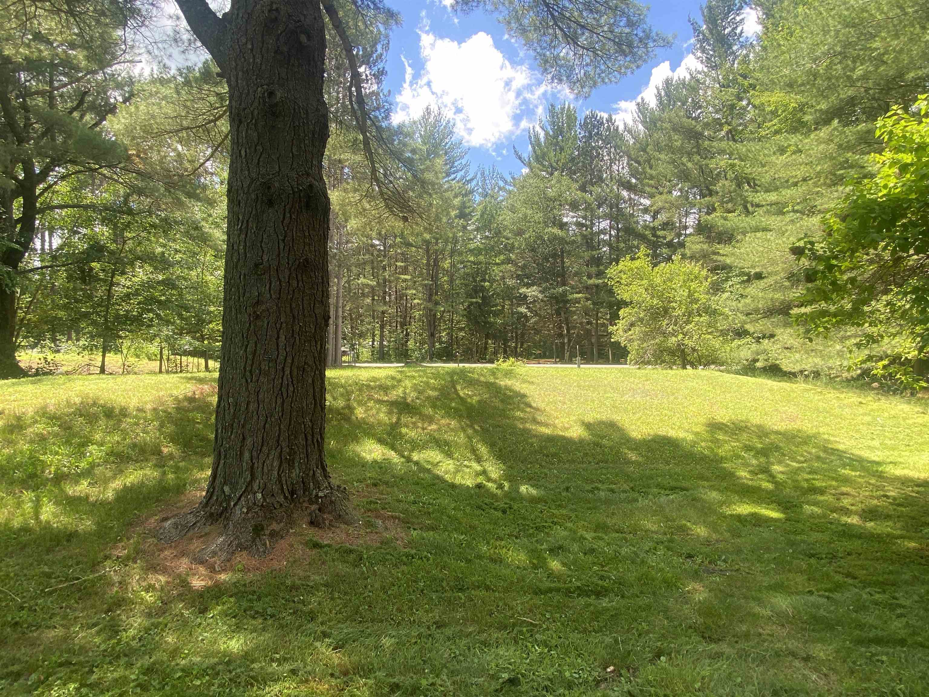 11664 N LAKE NOKOMIS ROAD, Tomahawk, Wisconsin 54487, ,Land,For Sale,11664 N LAKE NOKOMIS ROAD,22402949
