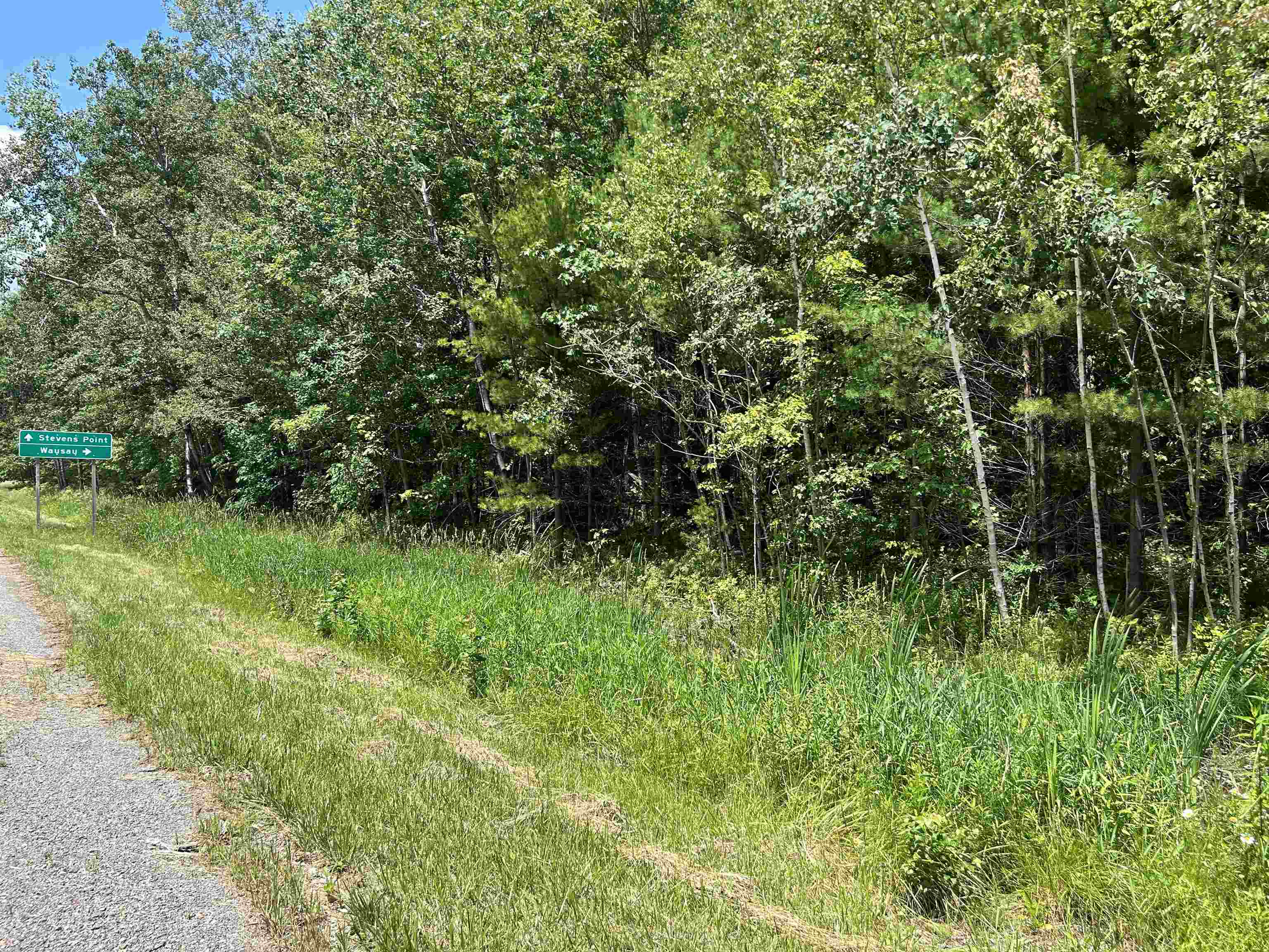 Lot 1 COUNTY ROAD DB, Mosinee, Wisconsin 54455, ,Land,For Sale,Lot 1 COUNTY ROAD DB,22402993
