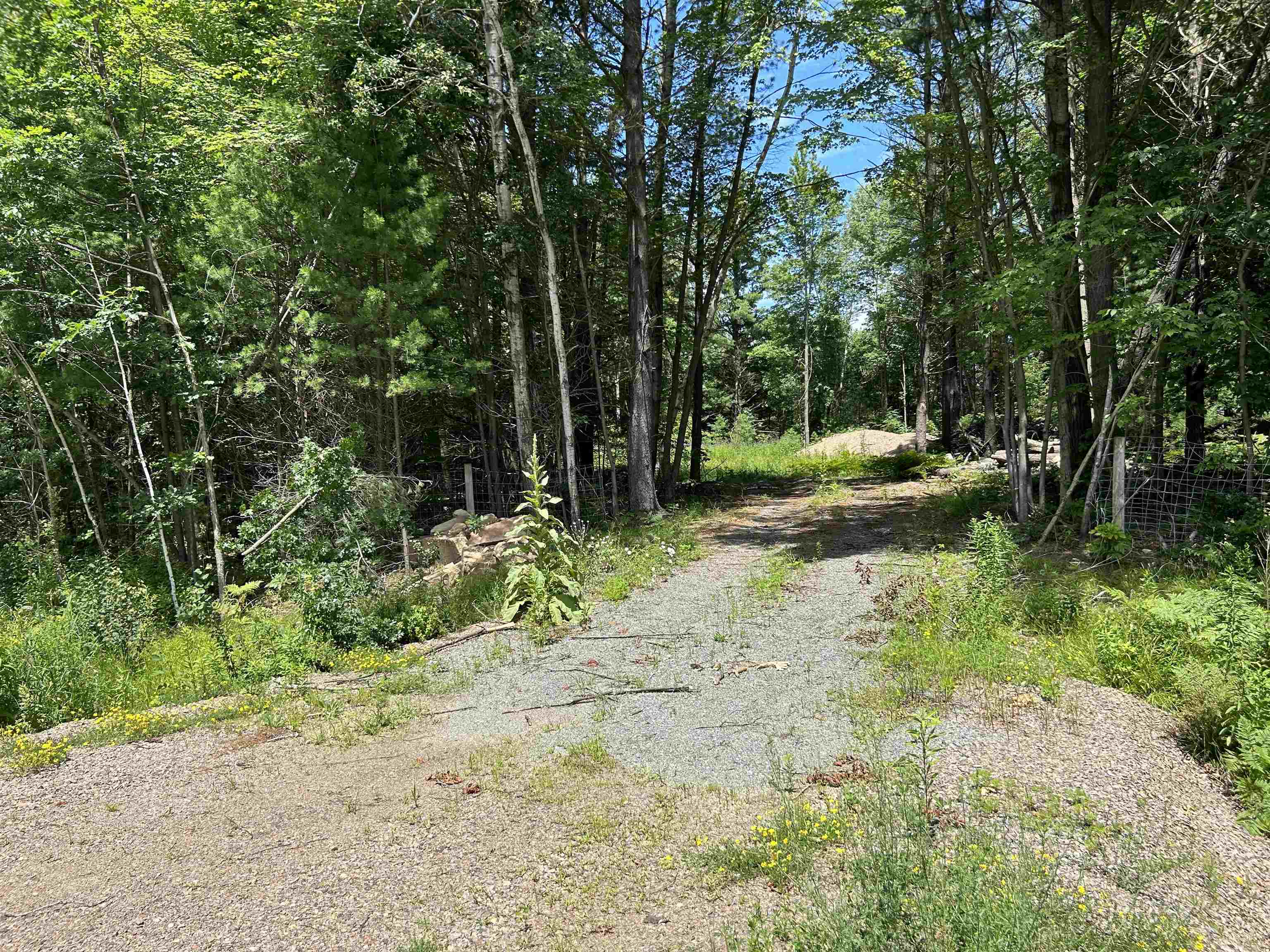 Lot 1 COUNTY ROAD DB, Mosinee, Wisconsin 54455, ,Land,For Sale,Lot 1 COUNTY ROAD DB,22402993
