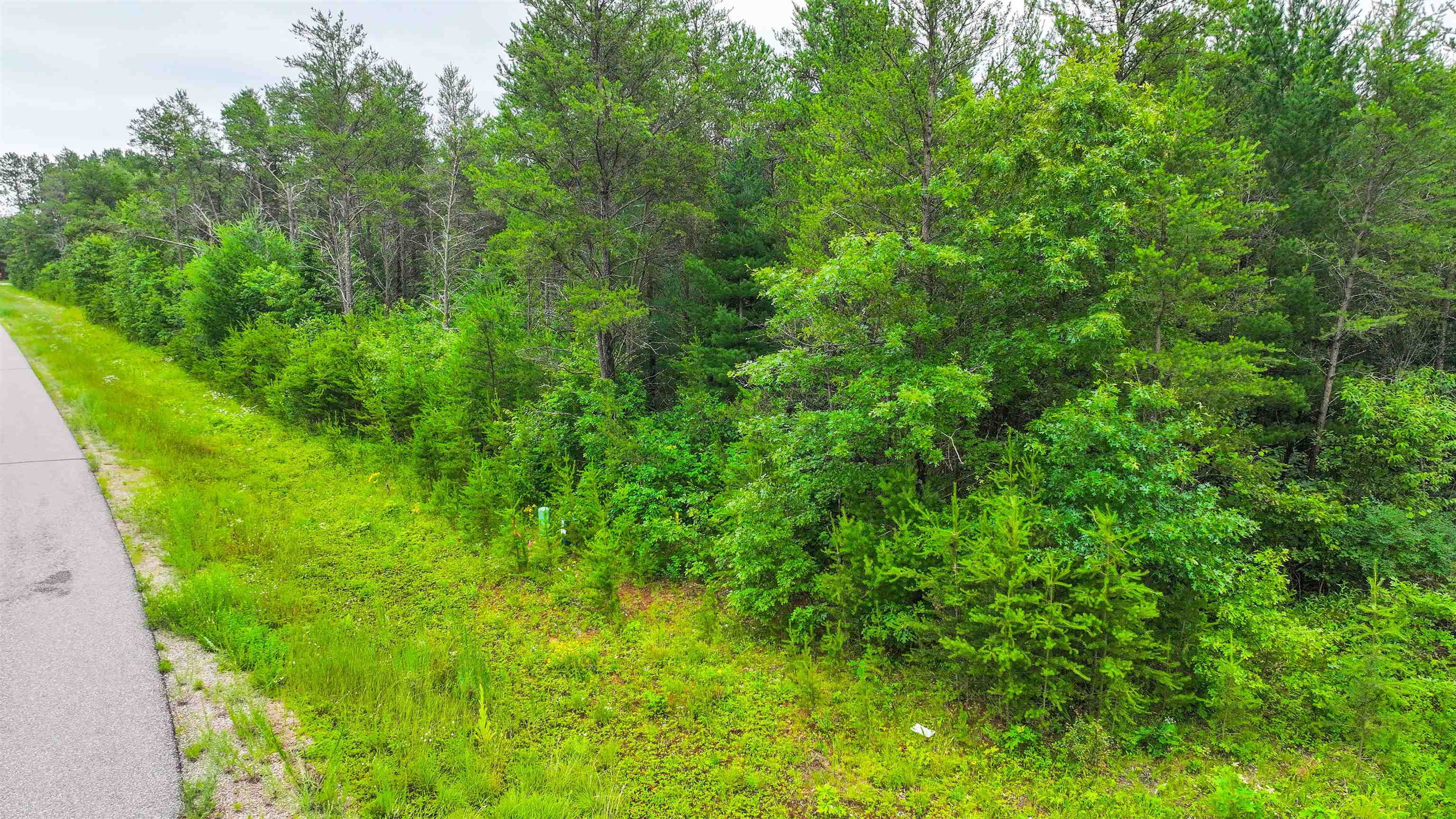Lot # 31 RED TAIL HAWK DRIVE, Stevens Point, Wisconsin 54482, ,Land,For Sale,Lot # 31 RED TAIL HAWK DRIVE,22403029