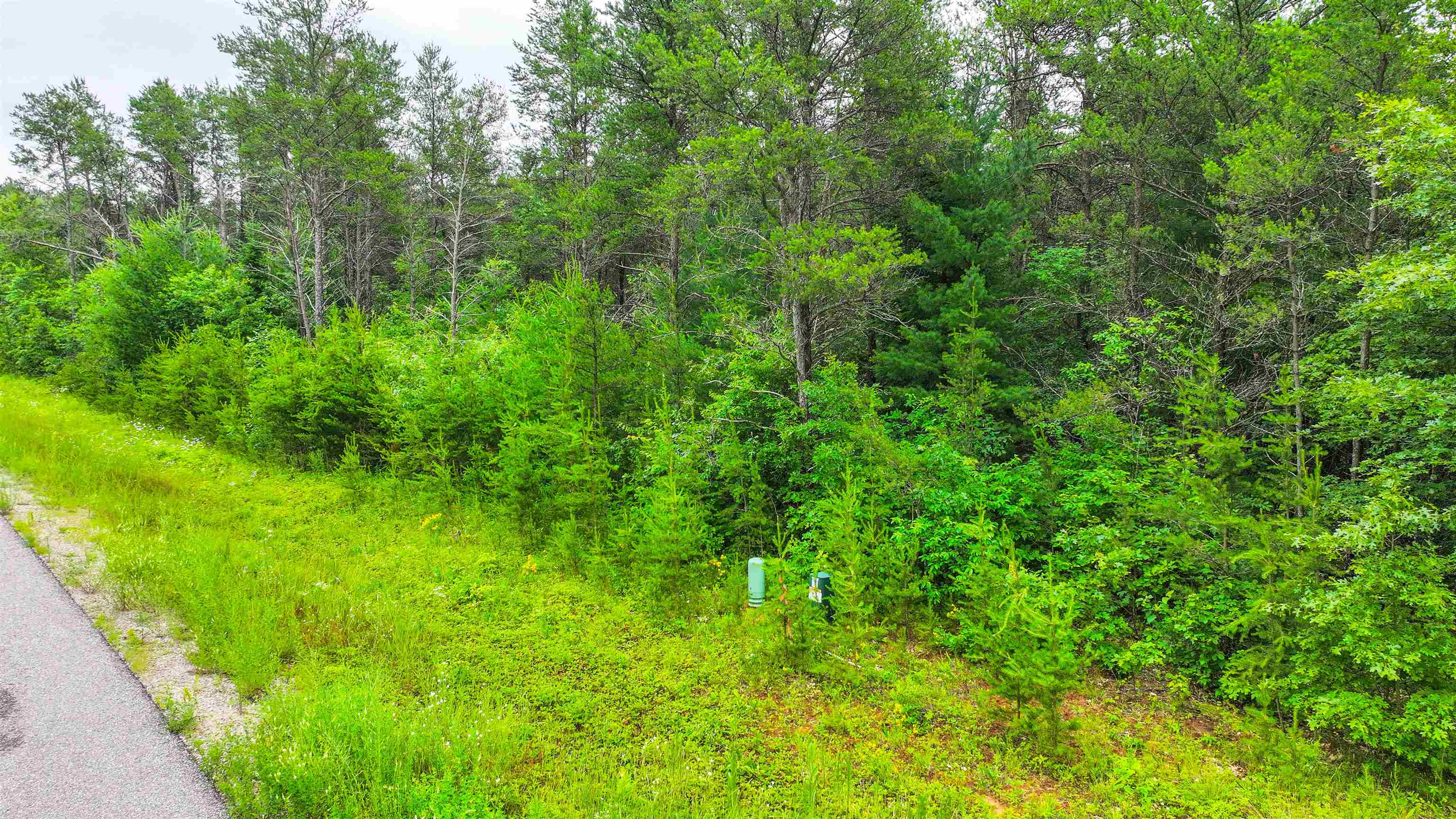 Lot # 31 RED TAIL HAWK DRIVE, Stevens Point, Wisconsin 54482, ,Land,For Sale,Lot # 31 RED TAIL HAWK DRIVE,22403029