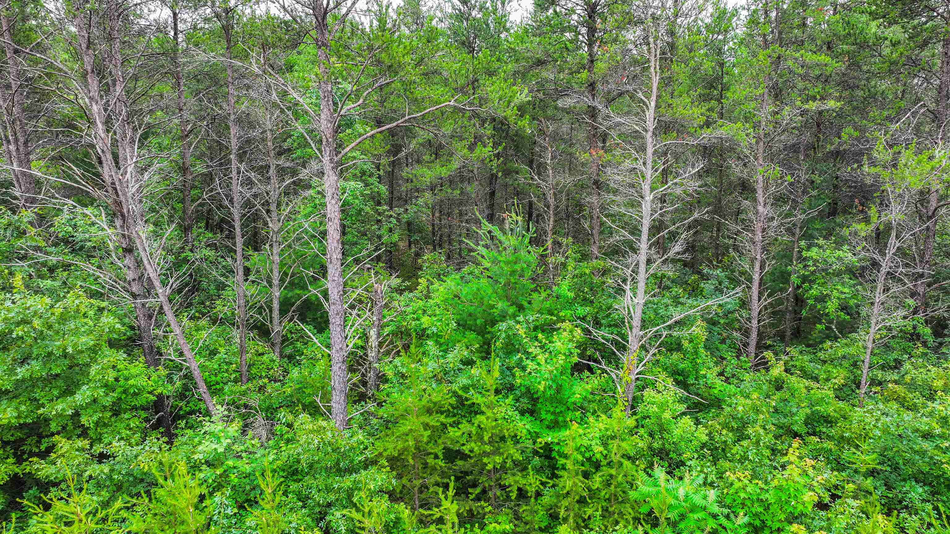 Lot # 31 RED TAIL HAWK DRIVE, Stevens Point, Wisconsin 54482, ,Land,For Sale,Lot # 31 RED TAIL HAWK DRIVE,22403029