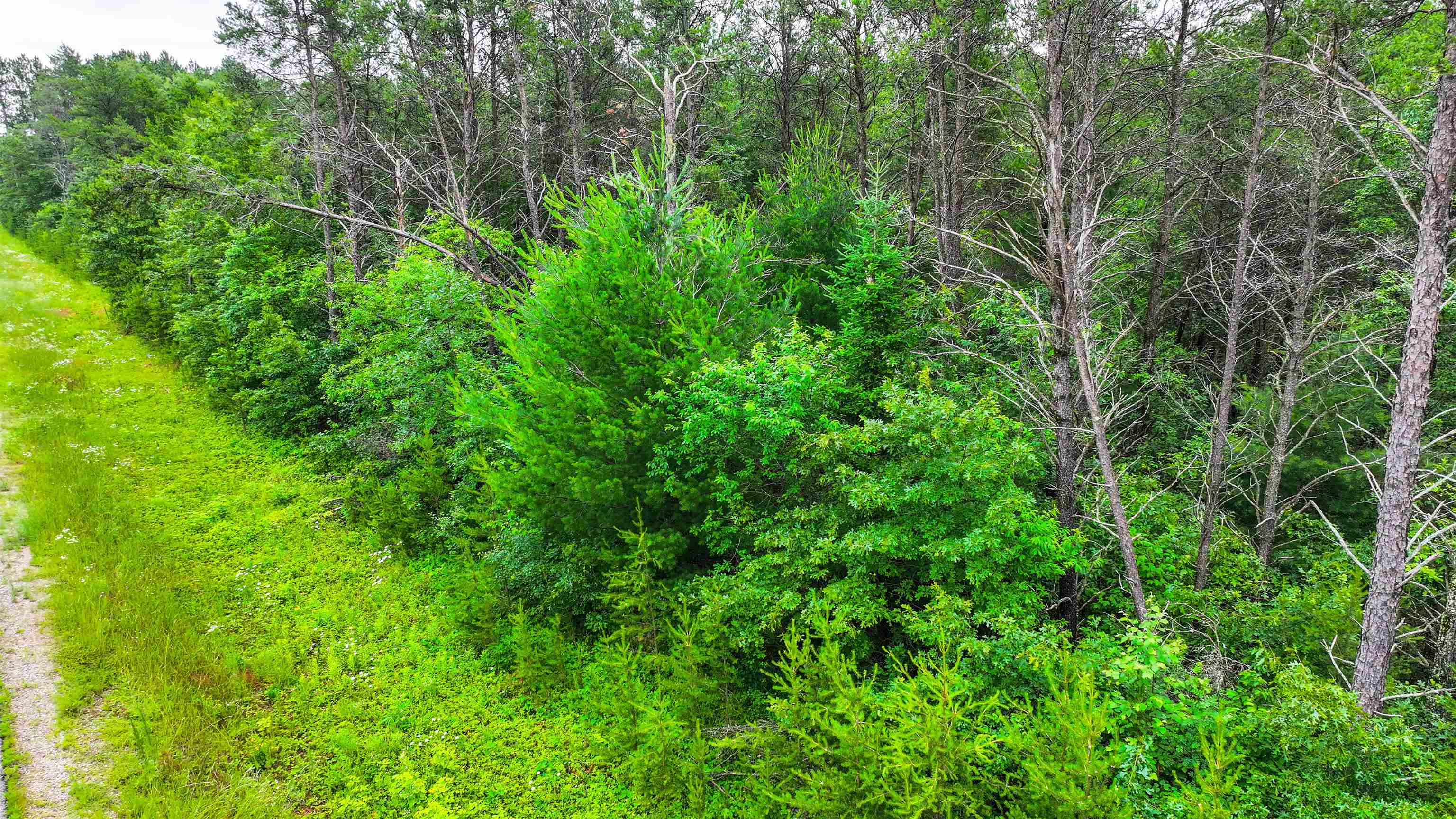 Lot # 31 RED TAIL HAWK DRIVE, Stevens Point, Wisconsin 54482, ,Land,For Sale,Lot # 31 RED TAIL HAWK DRIVE,22403029