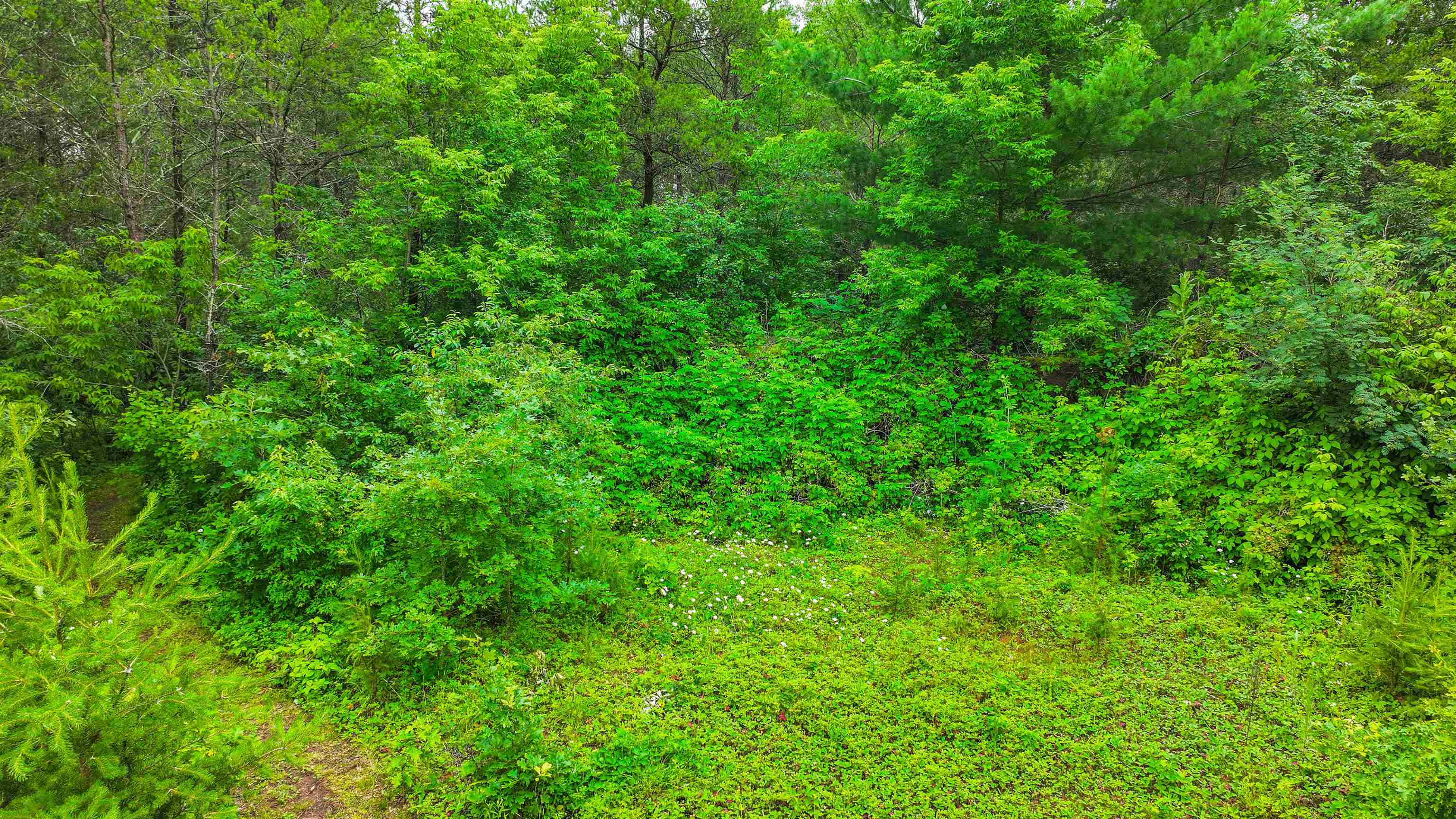 Lot # 31 RED TAIL HAWK DRIVE, Stevens Point, Wisconsin 54482, ,Land,For Sale,Lot # 31 RED TAIL HAWK DRIVE,22403029