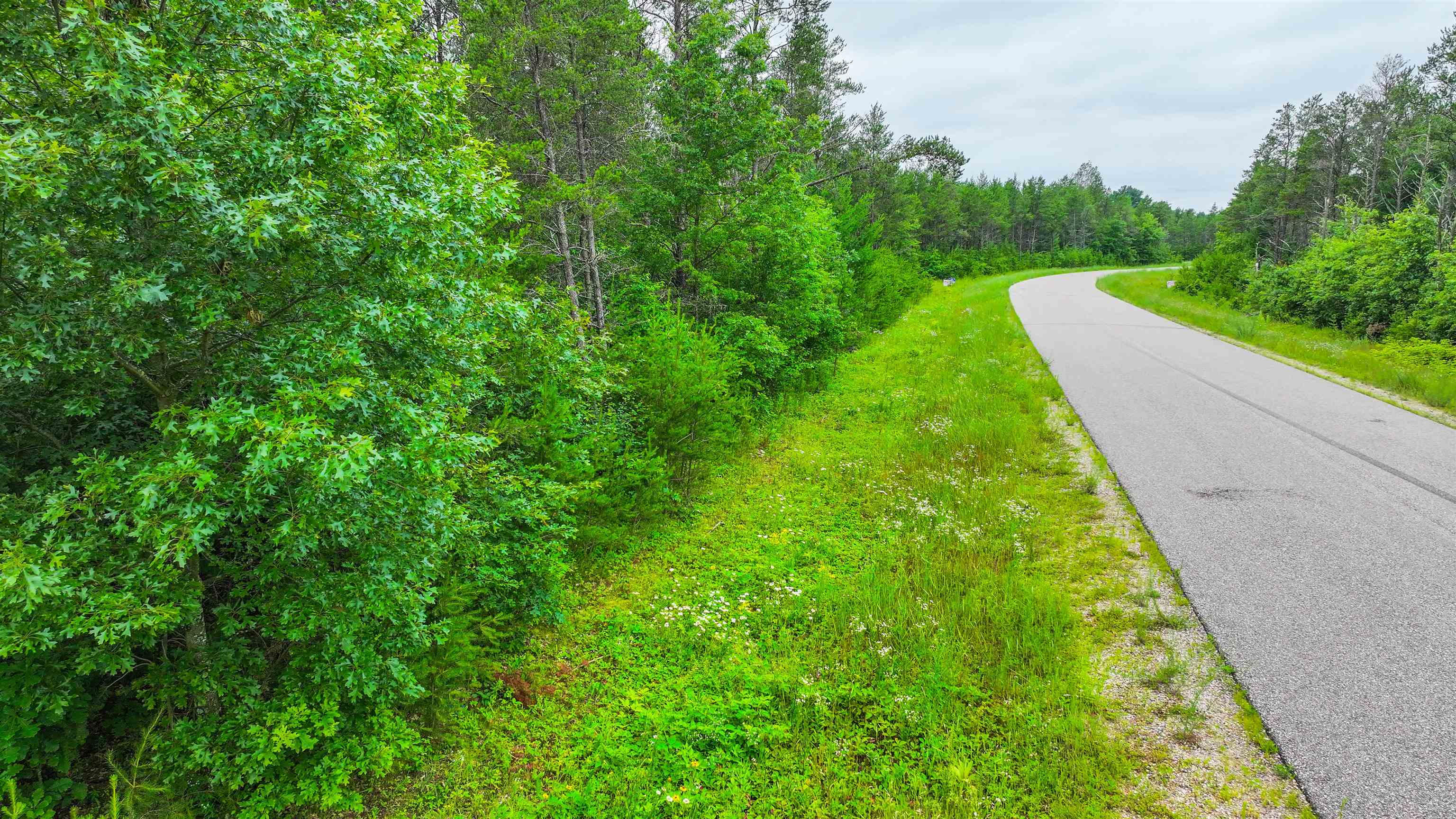 Lot # 31 RED TAIL HAWK DRIVE, Stevens Point, Wisconsin 54482, ,Land,For Sale,Lot # 31 RED TAIL HAWK DRIVE,22403029