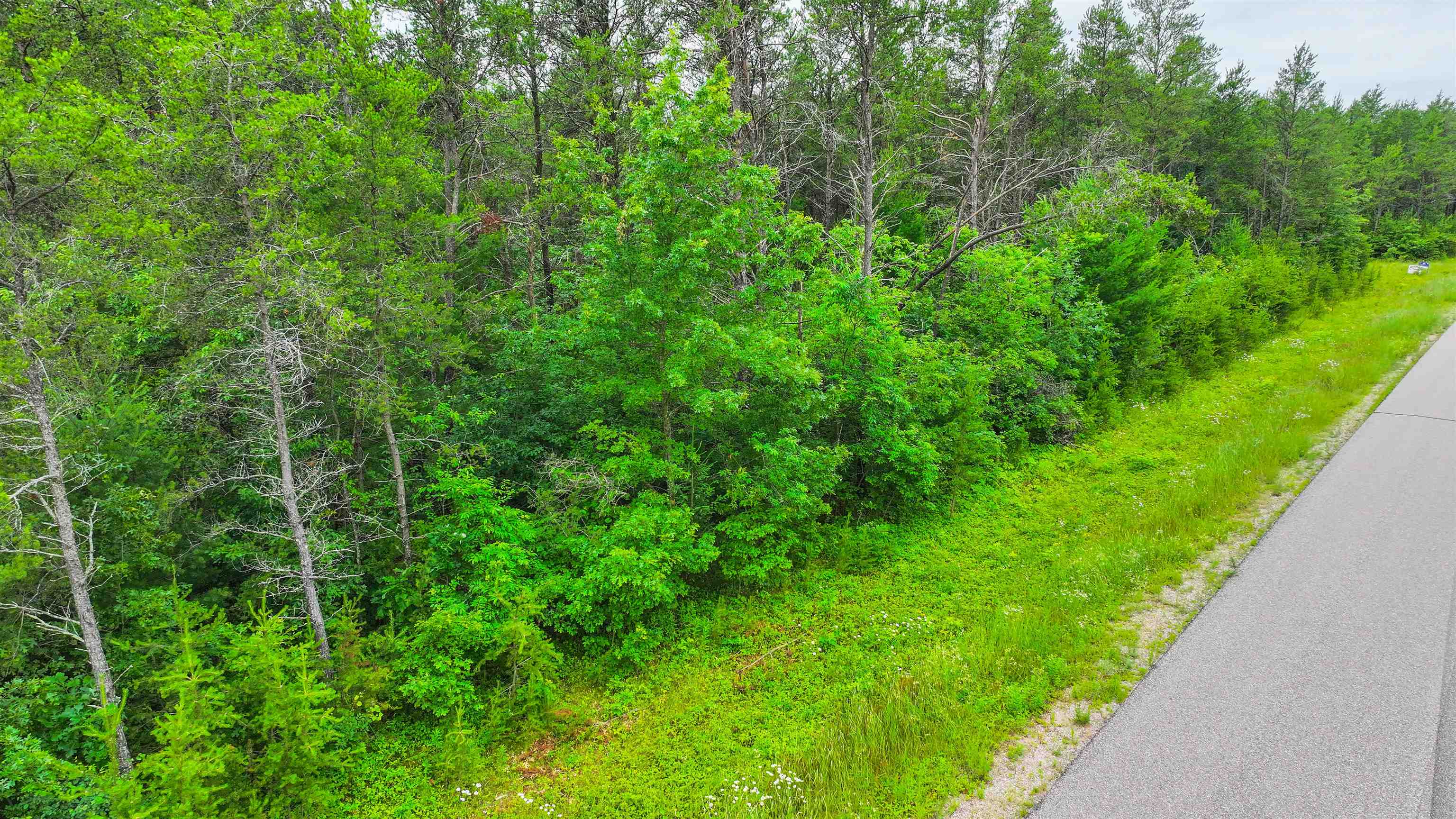 Lot # 31 RED TAIL HAWK DRIVE, Stevens Point, Wisconsin 54482, ,Land,For Sale,Lot # 31 RED TAIL HAWK DRIVE,22403029