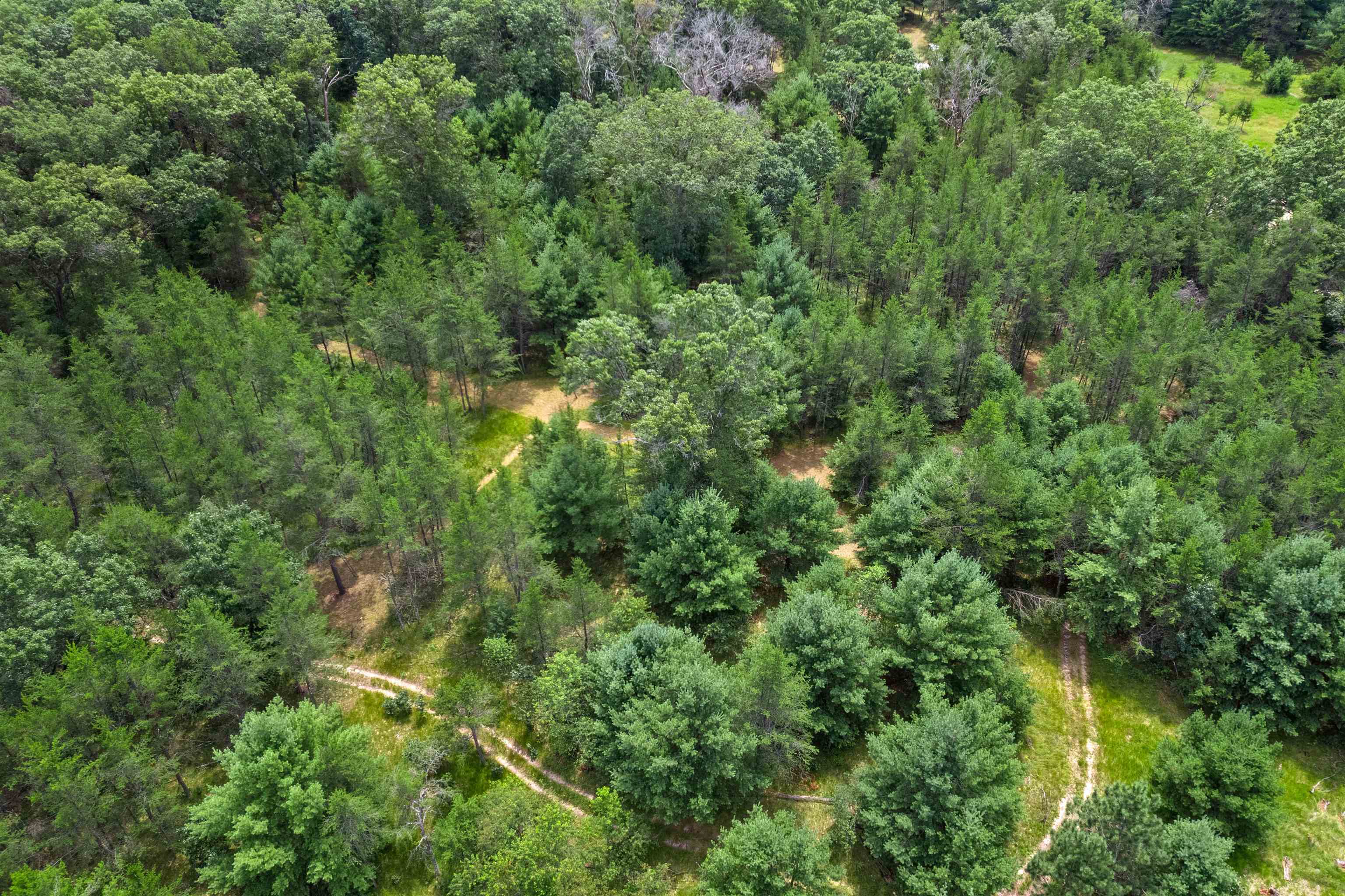 1356 DYKE DRIVE