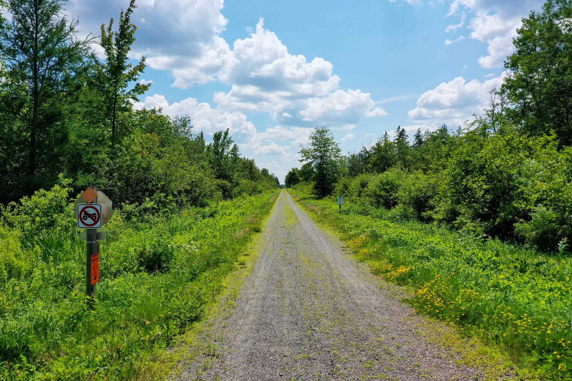 +/-8.25 Acres MULBERRY LANE, Medford, Wisconsin 54451, ,Land,For Sale,+/-8.25 Acres MULBERRY LANE,22403050
