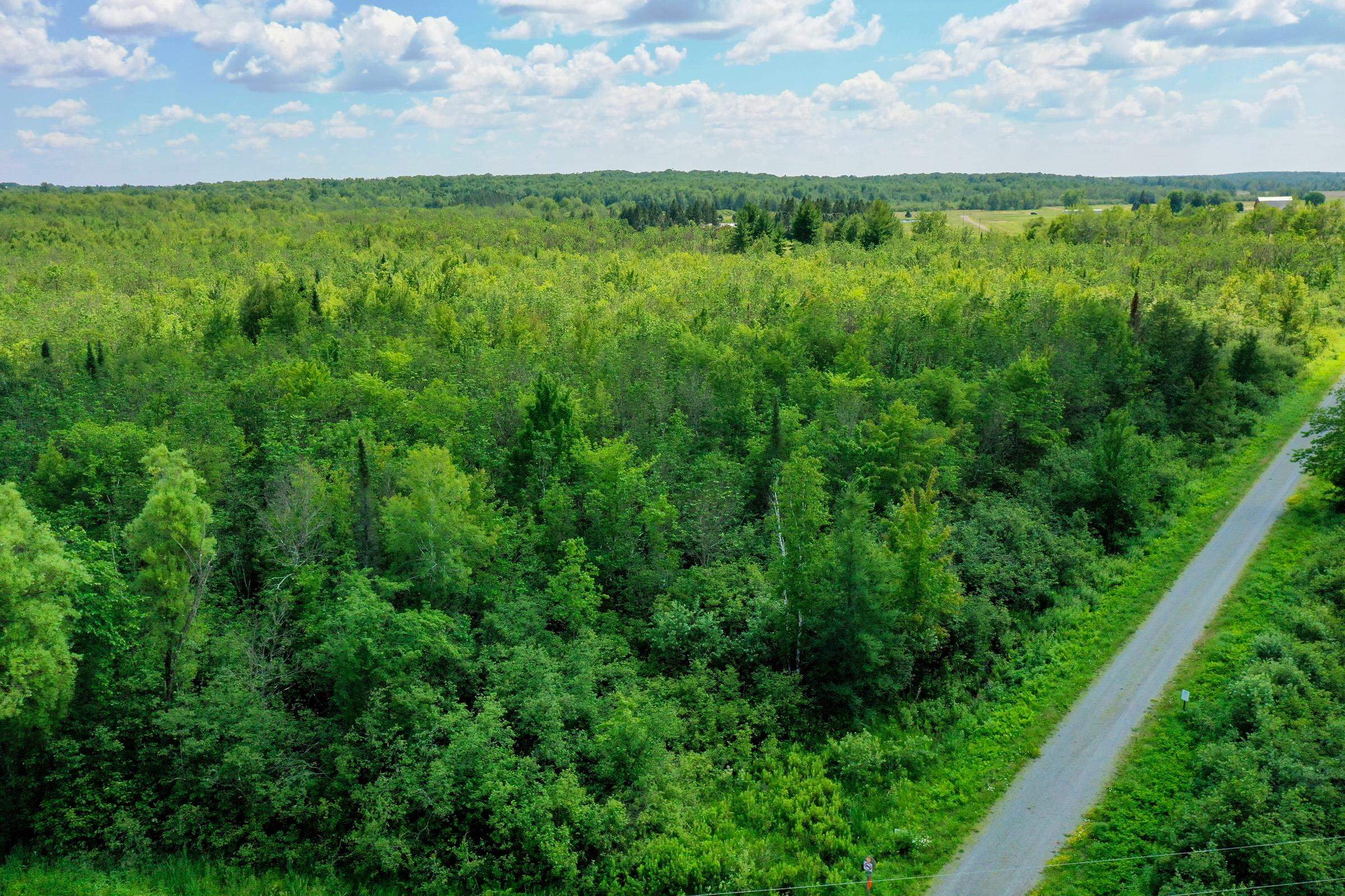 +/-8.25 Acres MULBERRY LANE, Medford, Wisconsin 54451, ,Land,For Sale,+/-8.25 Acres MULBERRY LANE,22403050