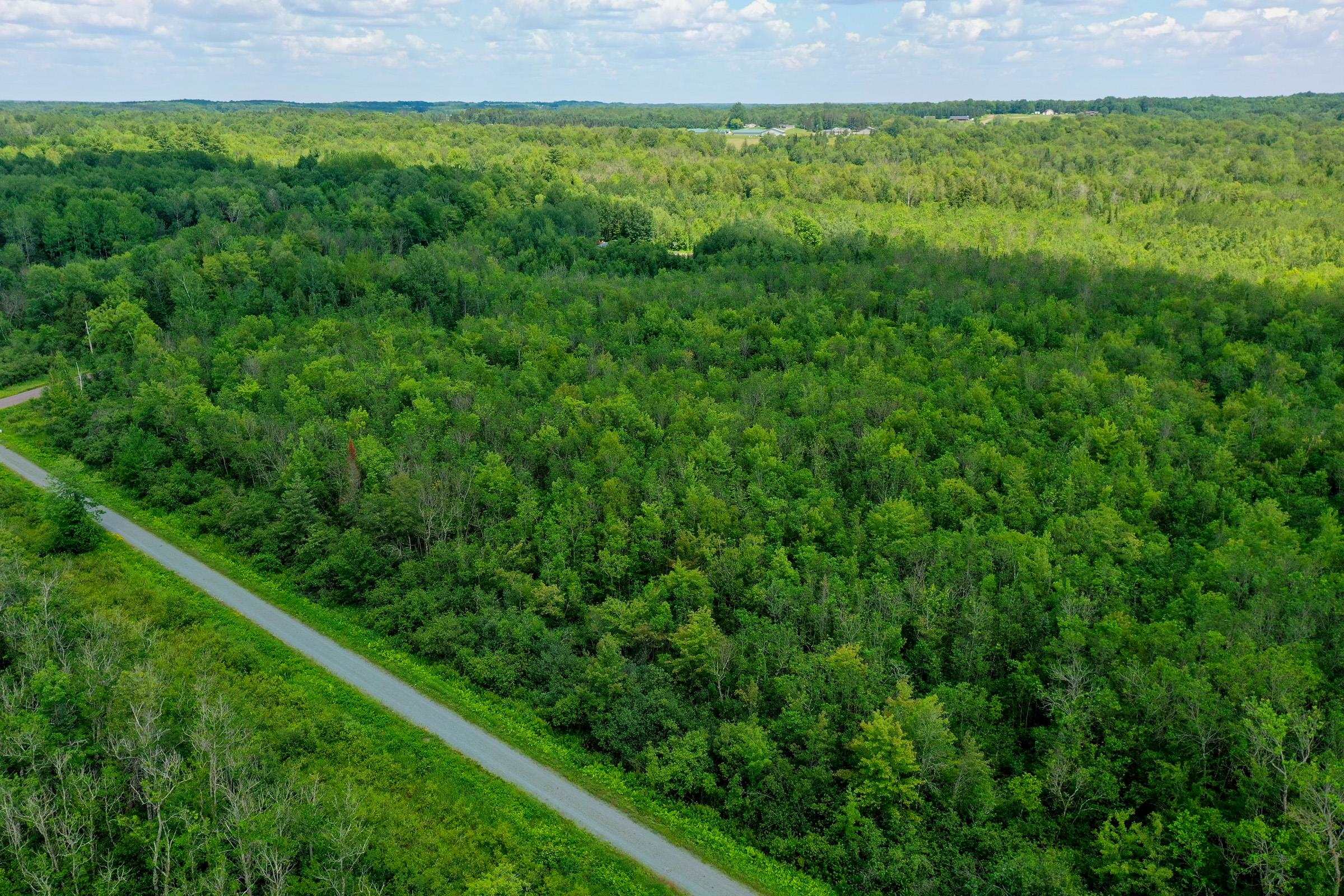 +/-8.25 Acres MULBERRY LANE, Medford, Wisconsin 54451, ,Land,For Sale,+/-8.25 Acres MULBERRY LANE,22403050