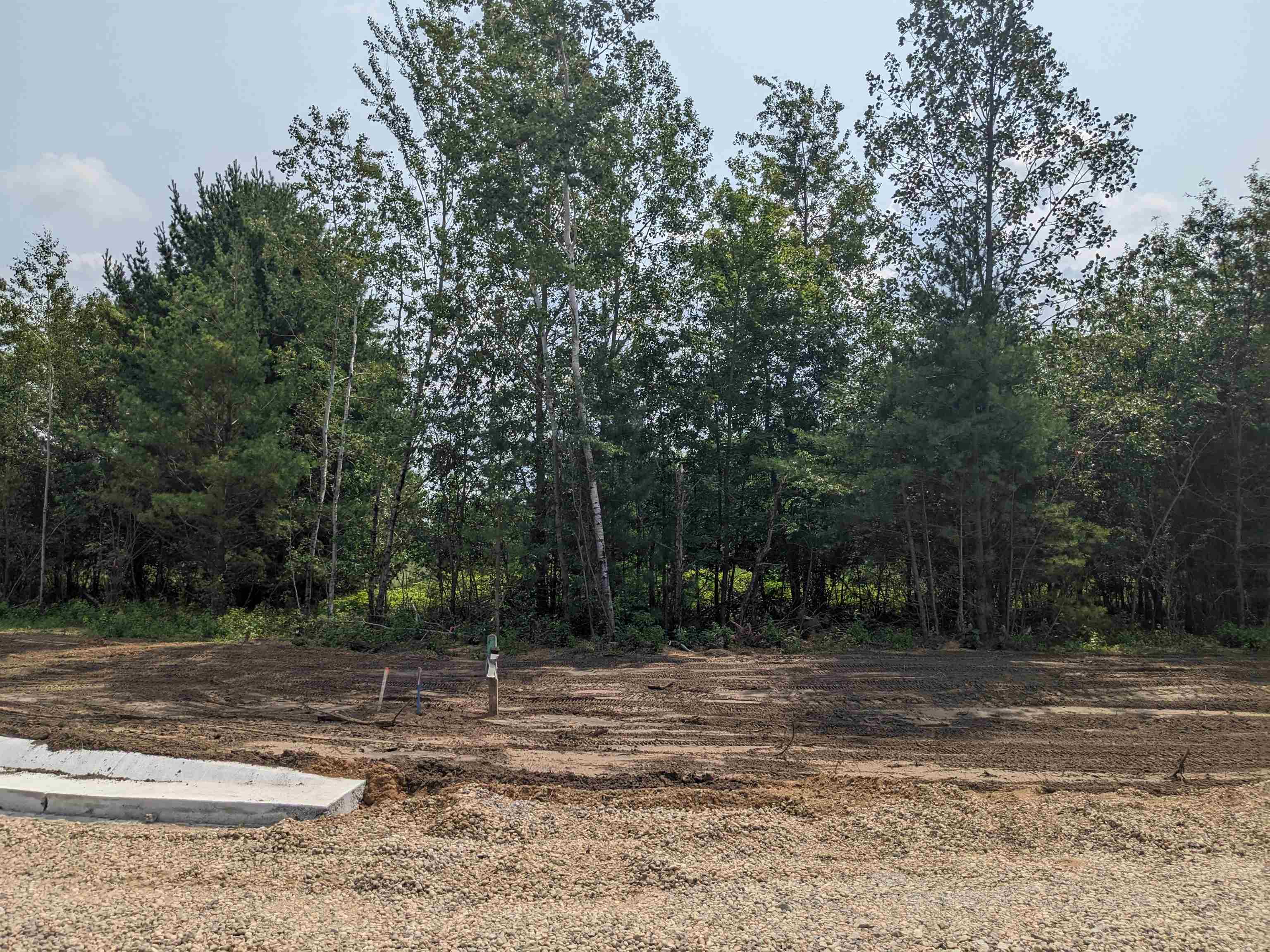 765 Torrey Pines Court, Plover, Wisconsin 54467, ,Land,For Sale,765 Torrey Pines Court,22403122