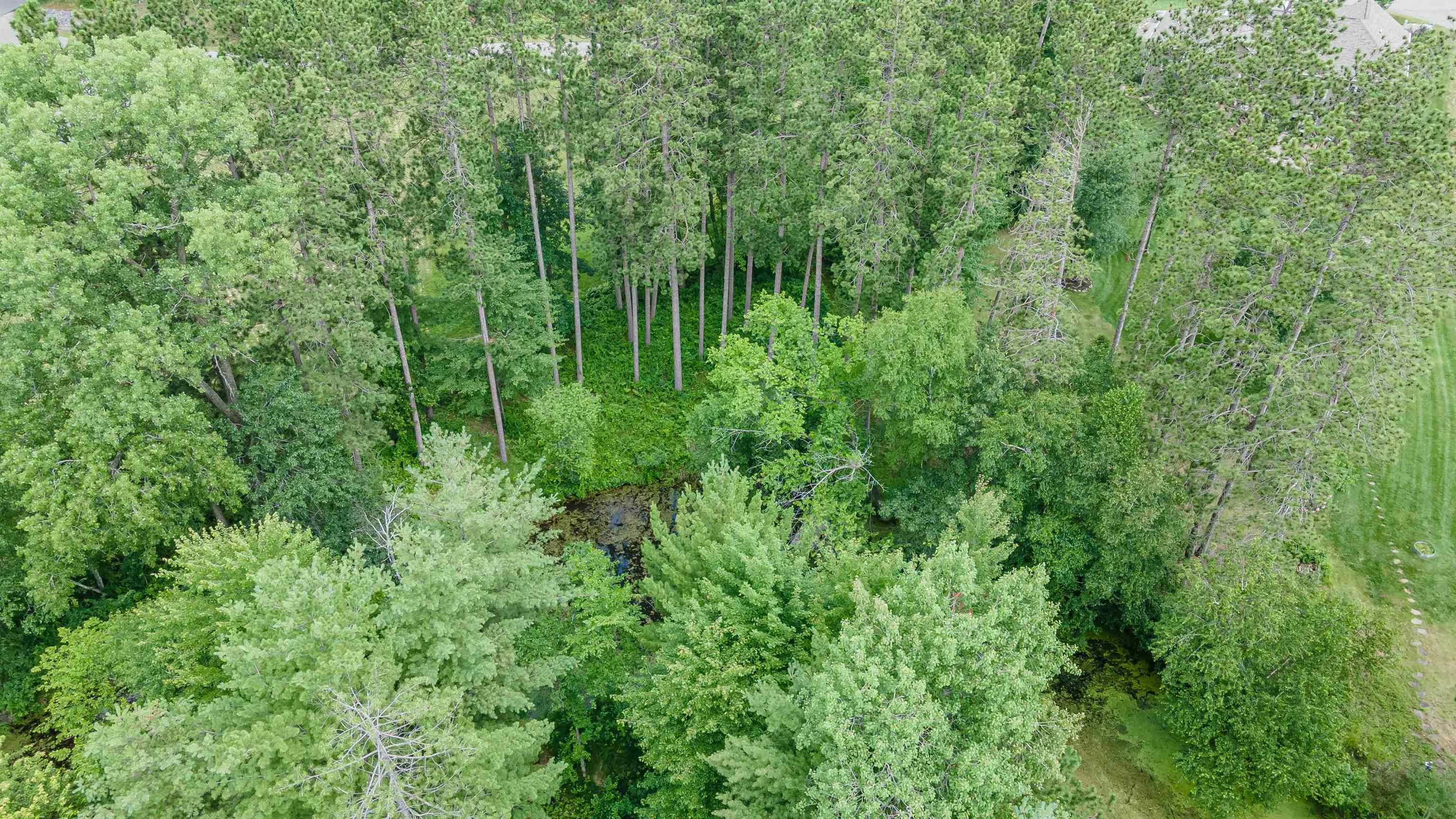680 PRIVATE BEACH TRAIL, Wisconsin Rapids, Wisconsin 54494, ,Land,For Sale,680 PRIVATE BEACH TRAIL,22403130