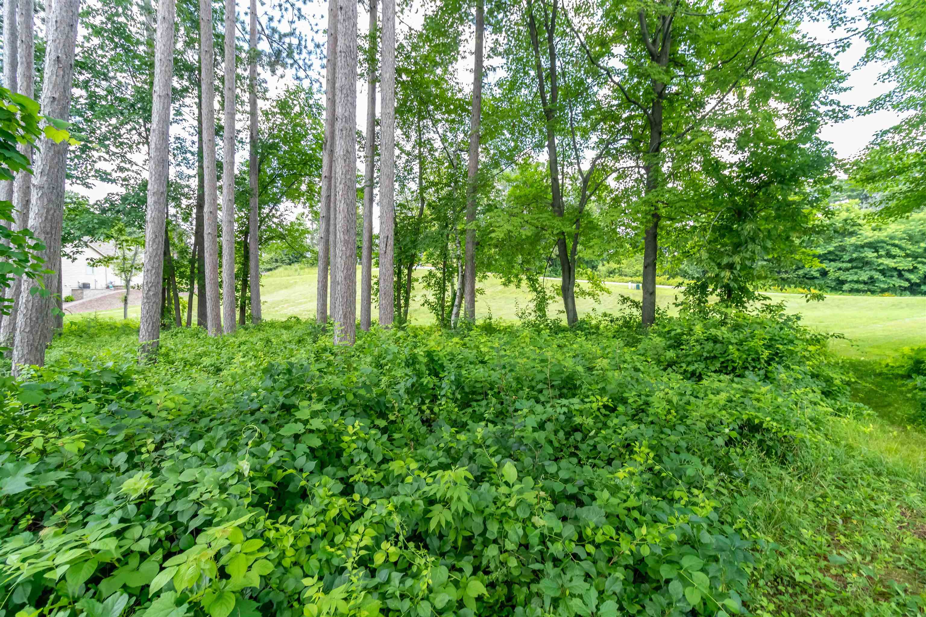 680 PRIVATE BEACH TRAIL, Wisconsin Rapids, Wisconsin 54494, ,Land,For Sale,680 PRIVATE BEACH TRAIL,22403130