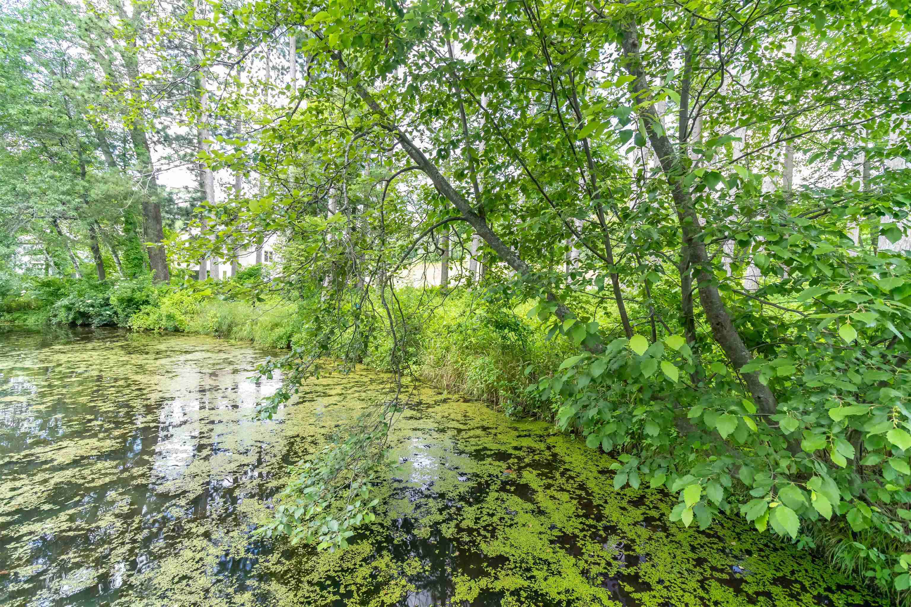 680 PRIVATE BEACH TRAIL, Wisconsin Rapids, Wisconsin 54494, ,Land,For Sale,680 PRIVATE BEACH TRAIL,22403130