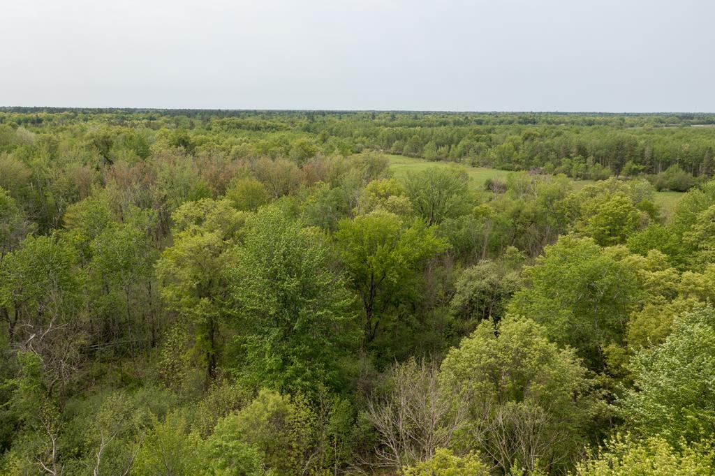 Lot 2 80TH STREET NORTH, Wisconsin Rapids, Wisconsin 54494, ,Land,For Sale,Lot 2 80TH STREET NORTH,22403304